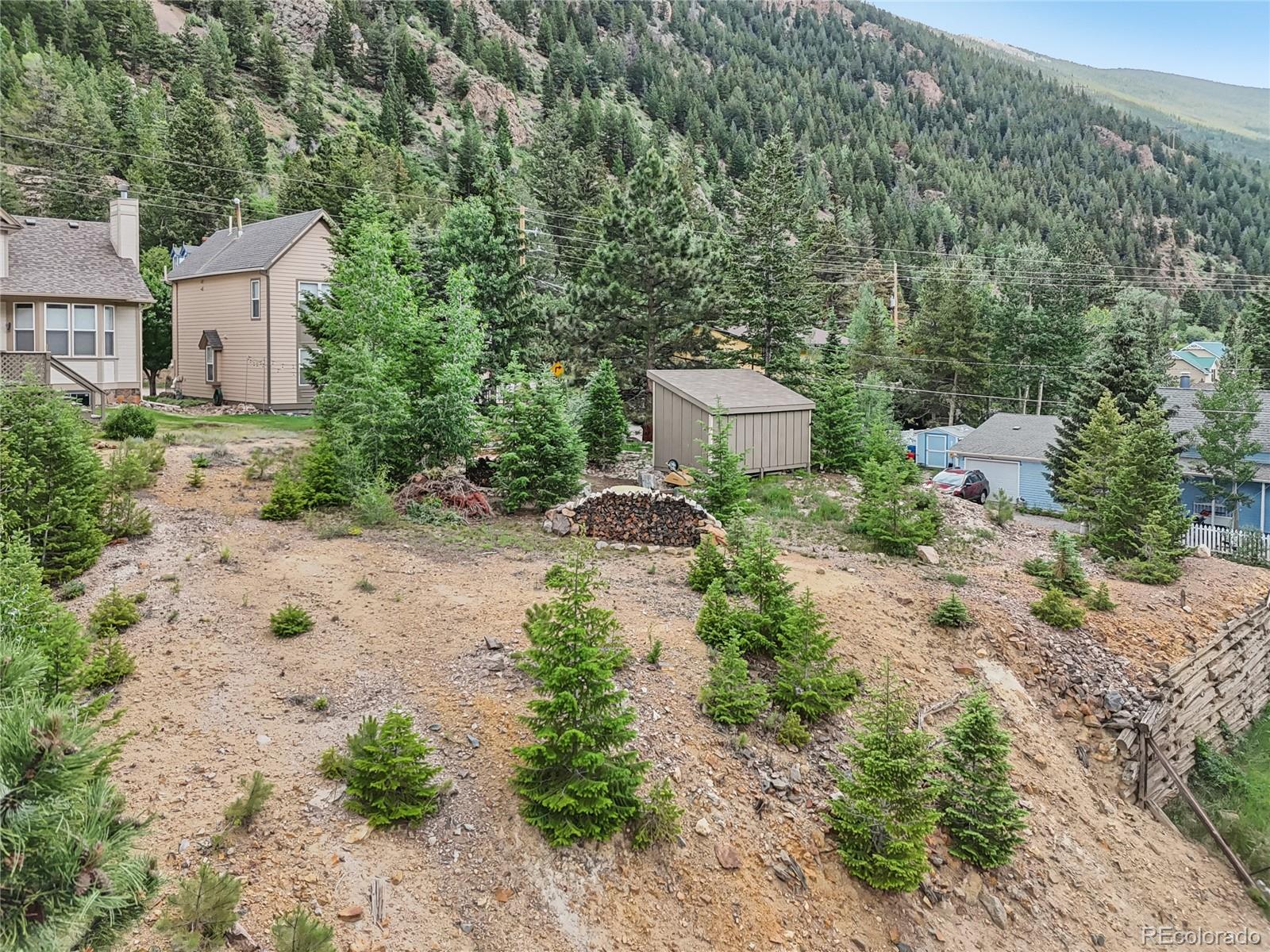 0 Main Street Georgetown, CO 80444 - Photo 5 of 15 a view of a yard with plants and large trees