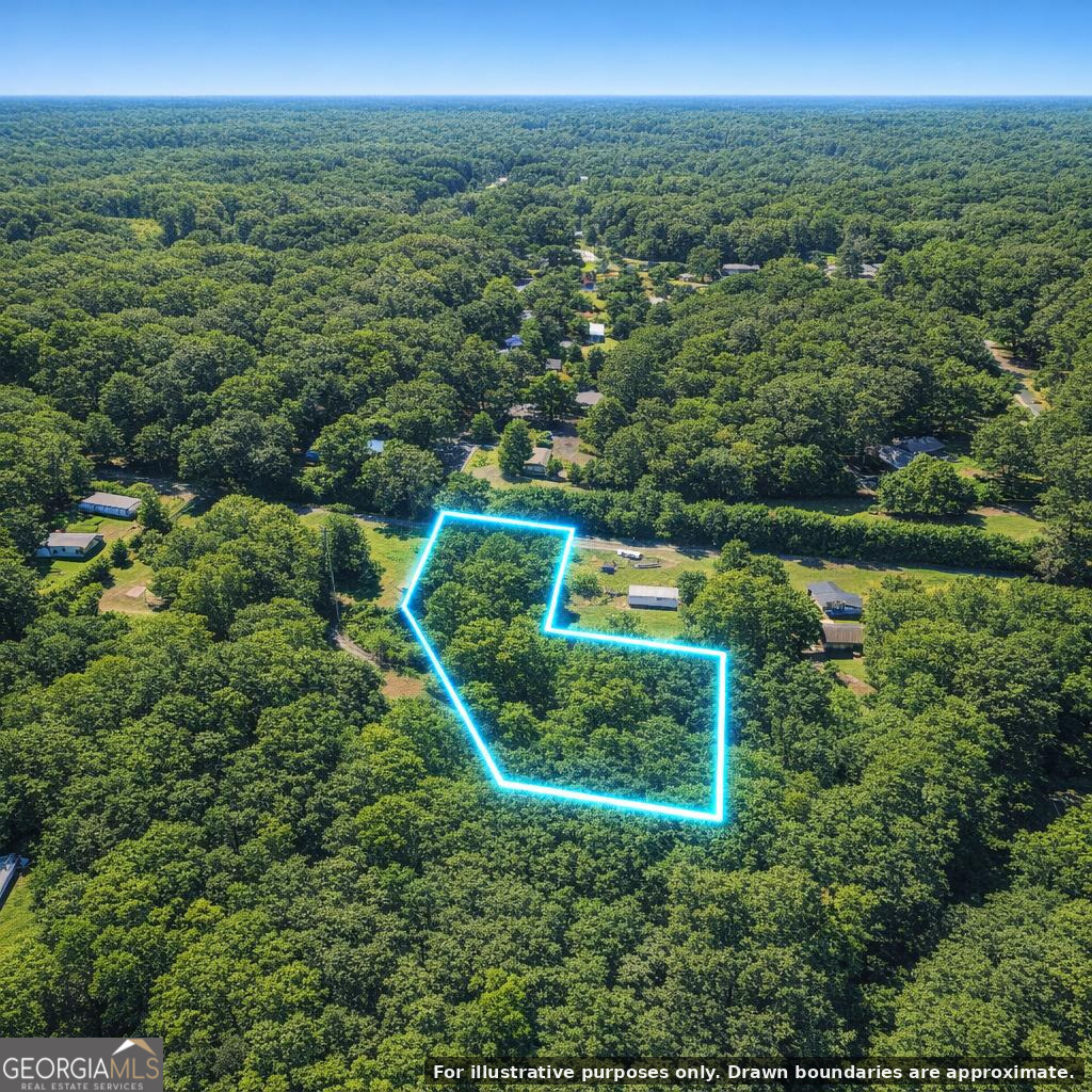0 Harry Arnold Road Monroe, GA 30655 - Photo 6 of 13 a view of a forest with a yard