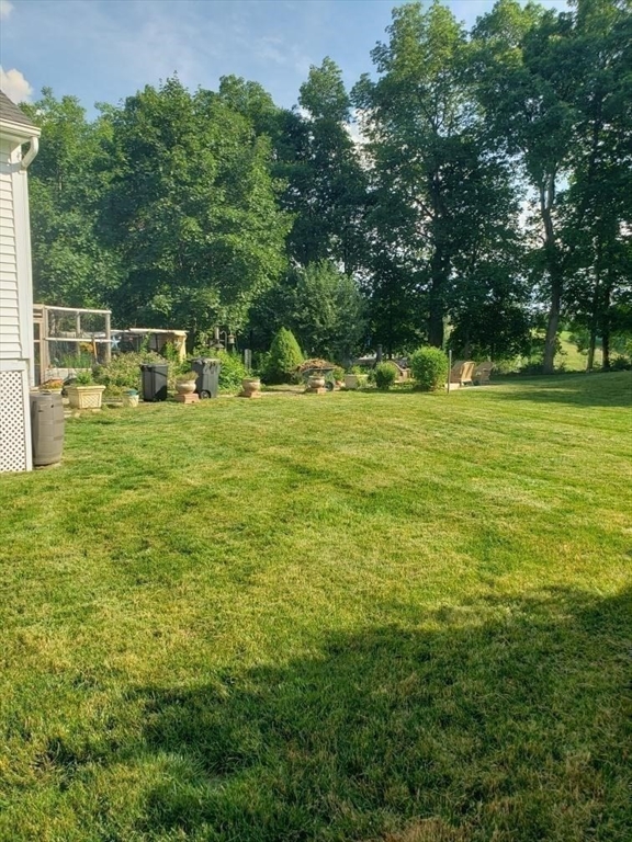 71 Old Amesbury Line Road Haverhill, MA 01830 - Photo 38 of 40 a view of a trees in a yard