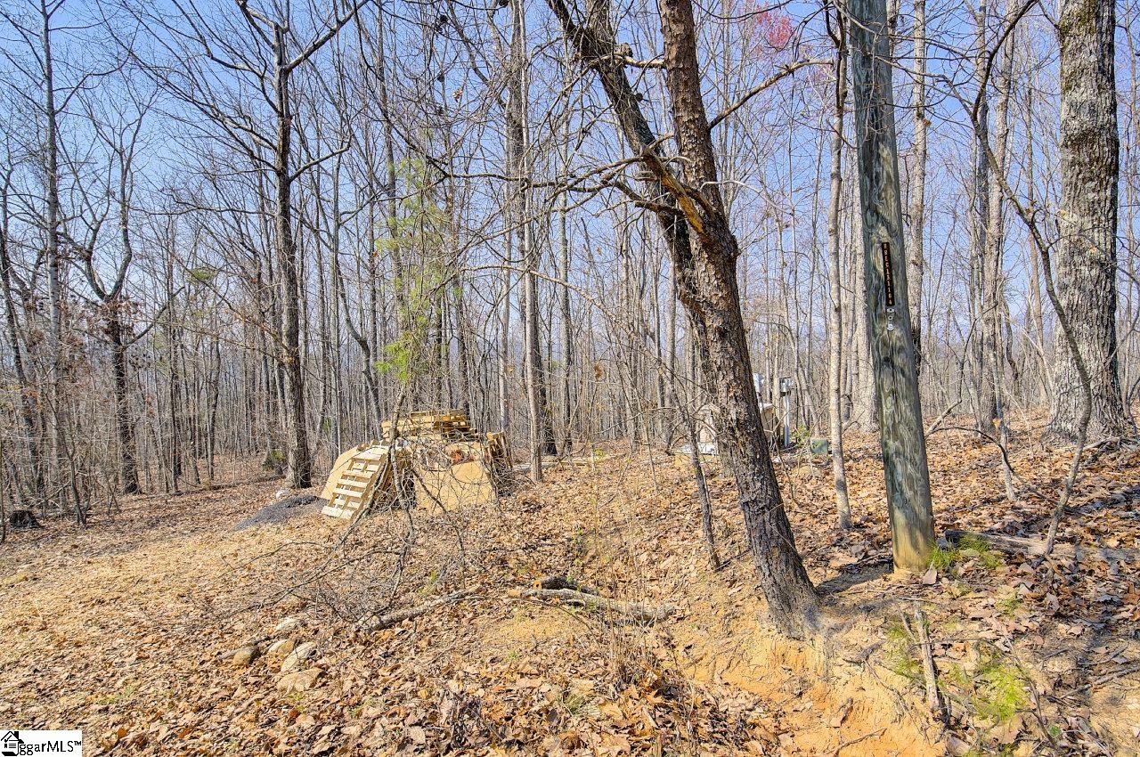 239 View Point Road, Unit LOT 2 Pickens, SC 29671 - Photo 12 of 30