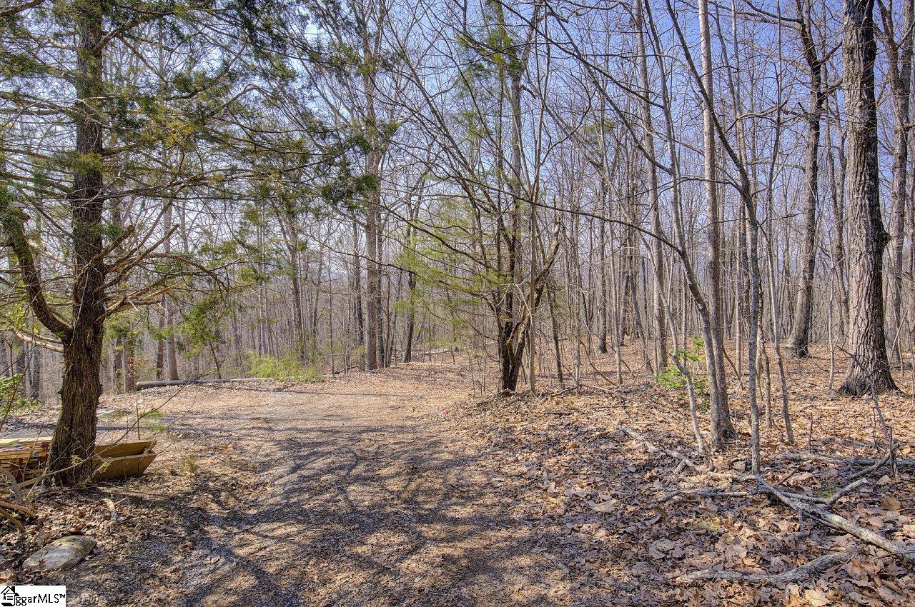 239 View Point Road, Unit LOT 2 Pickens, SC 29671 - Photo 13 of 30