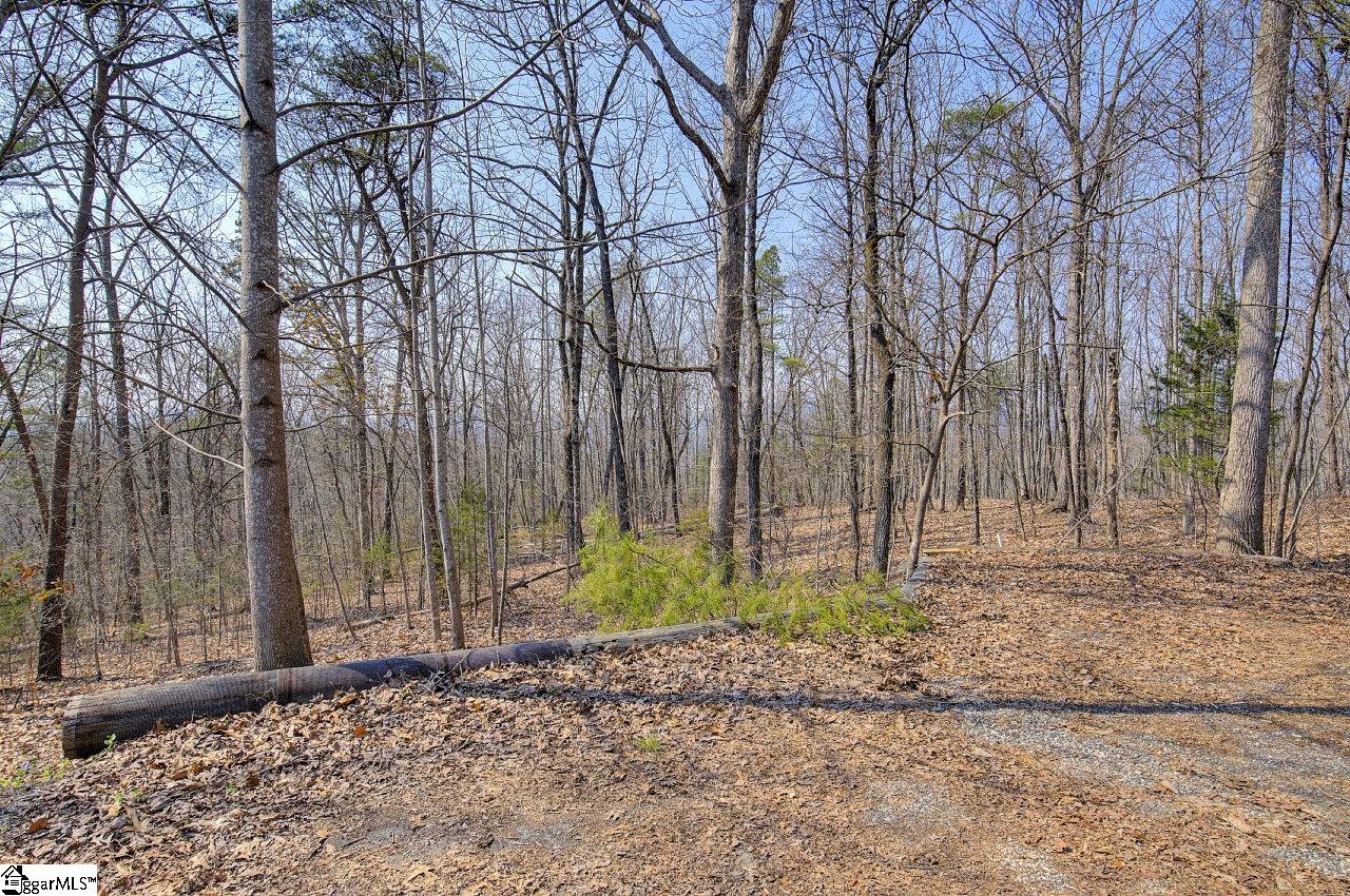 239 View Point Road, Unit LOT 2 Pickens, SC 29671 - Photo 17 of 30