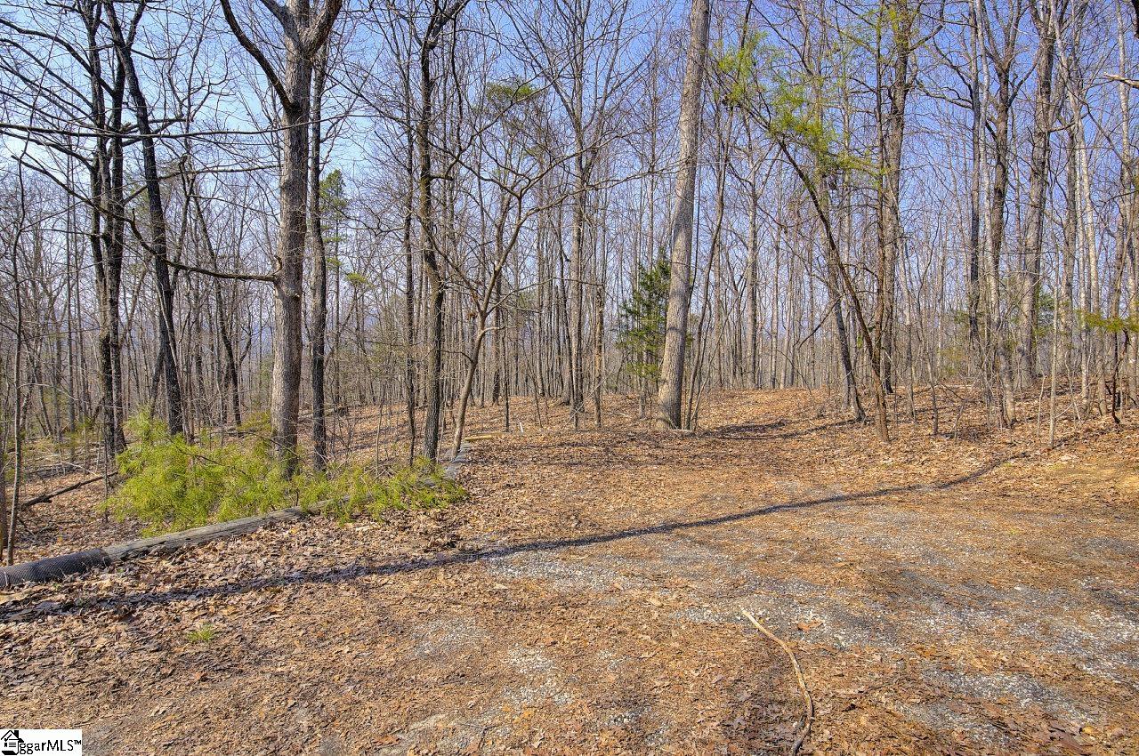 239 View Point Road, Unit LOT 2 Pickens, SC 29671 - Photo 18 of 30