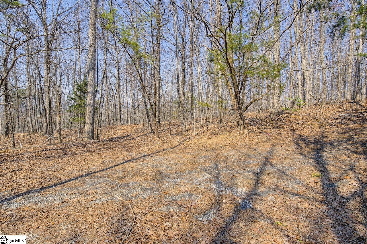 239 View Point Road, Unit LOT 2 Pickens, SC 29671 - Photo 6 of 30
