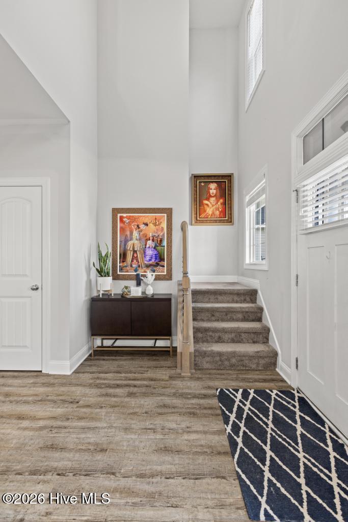 616 High Tide Drive Holly Ridge, NC 28445 - Photo 8 of 65 425A3235