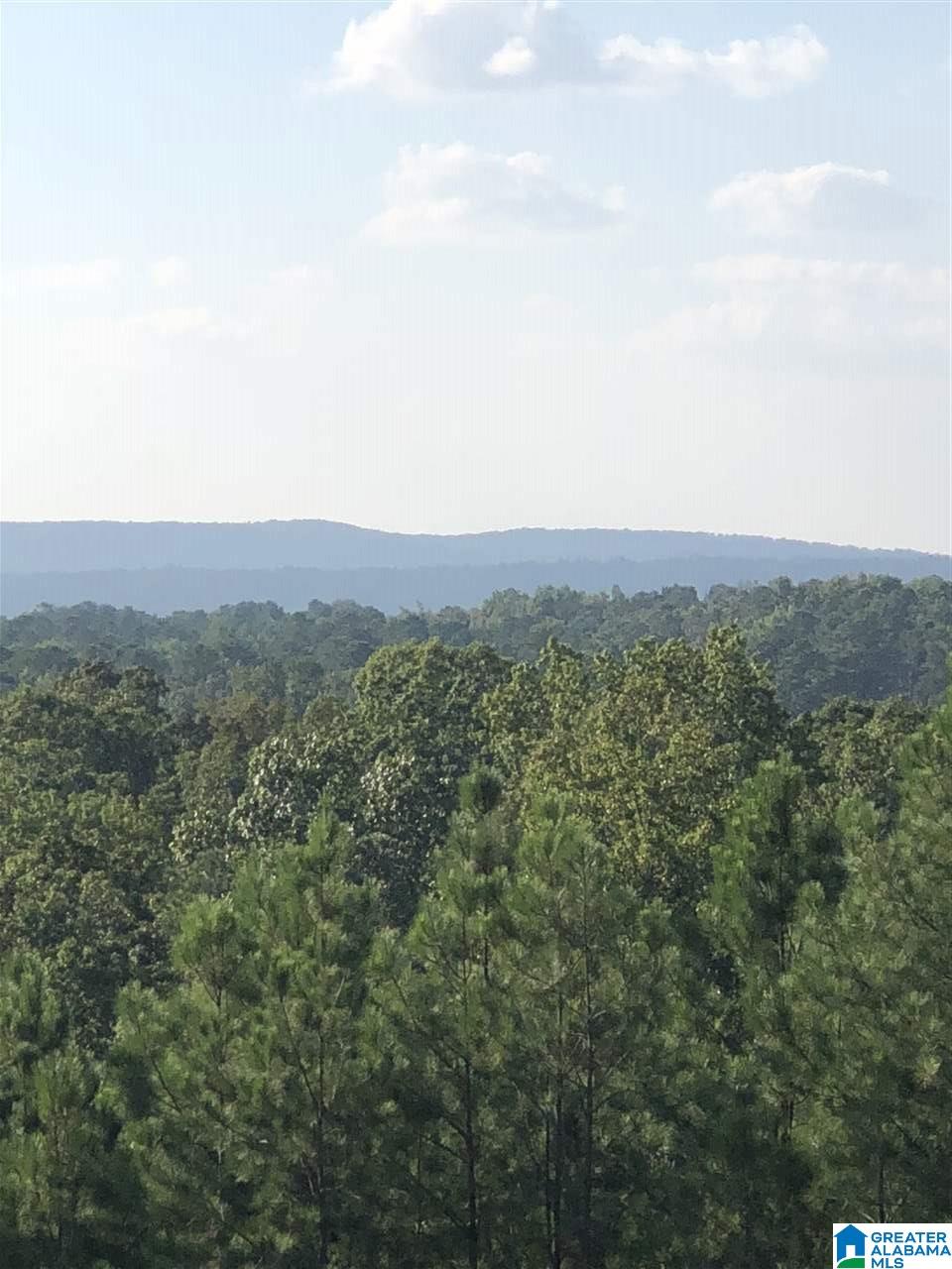 1 Highway 69, Unit 1 Gallion, AL 36742 - Photo 2 of 8