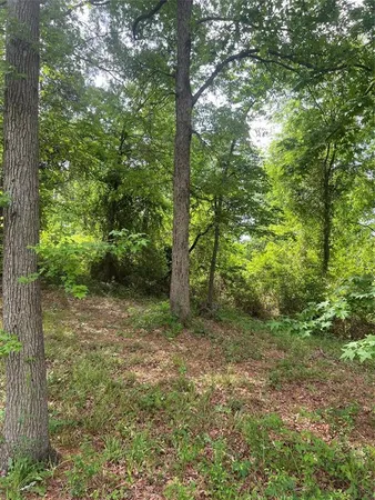 a big yard with lots of green space and house view