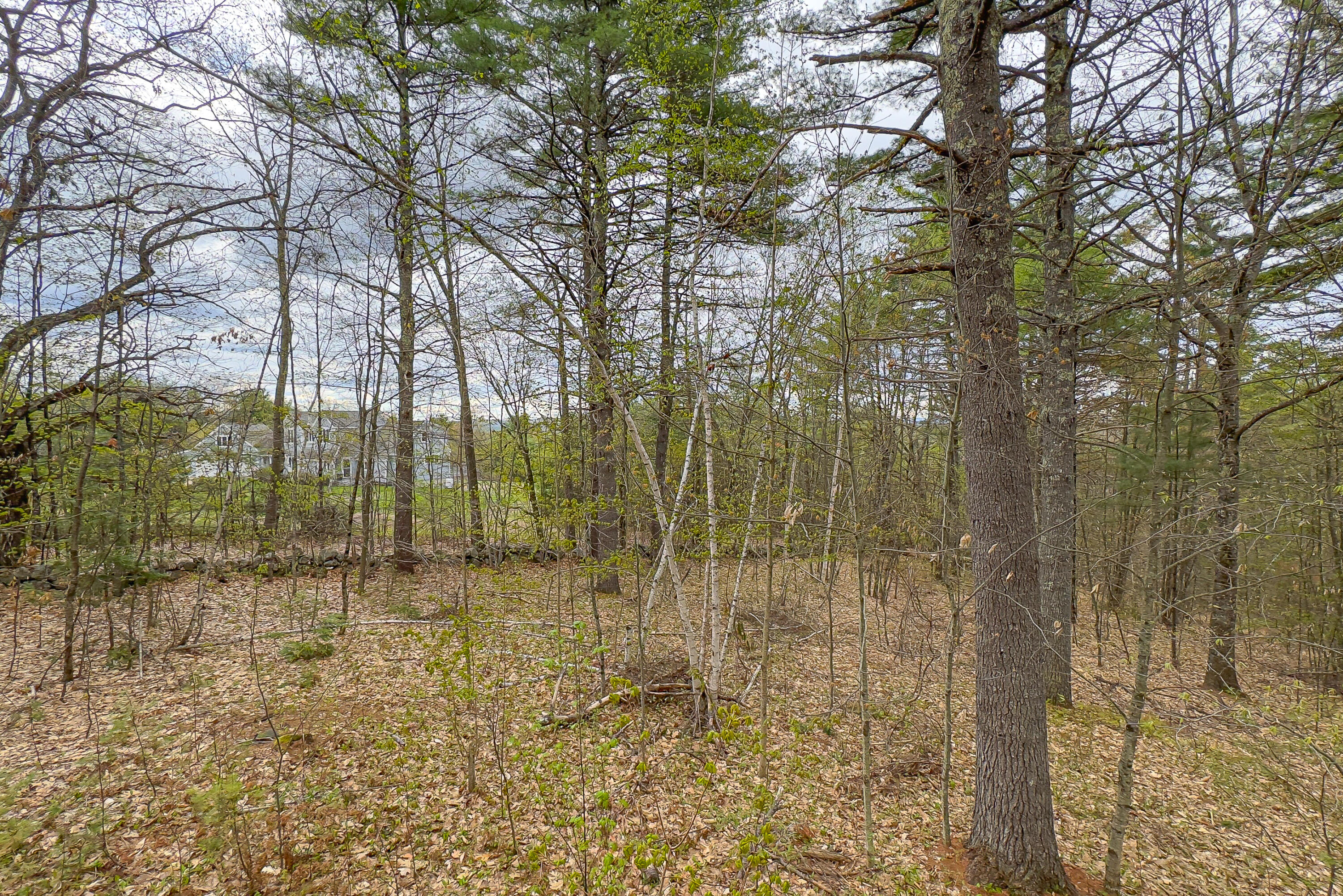 74 Ridge Road Lovell, ME 04051 - Photo 11 of 58 74 ridge road-60