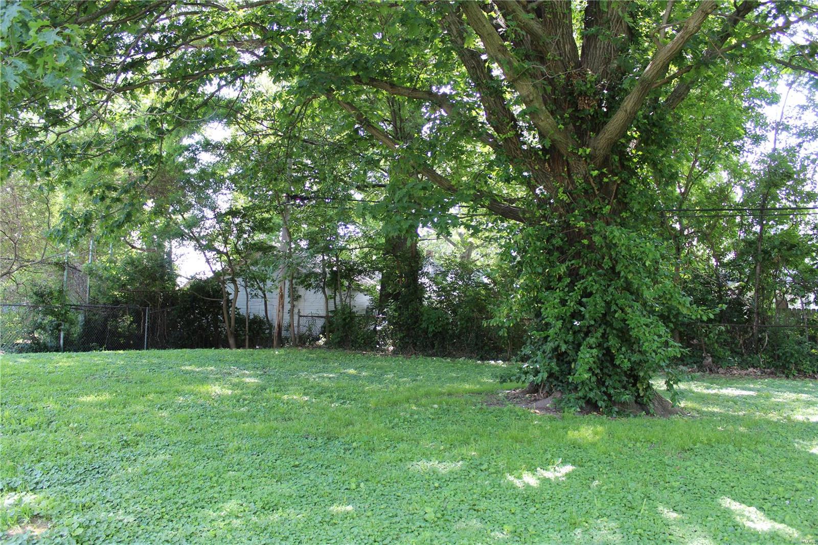 1634 Seminary Street Alton, IL 62002 - Photo 2 of 39 Gallery Image 2