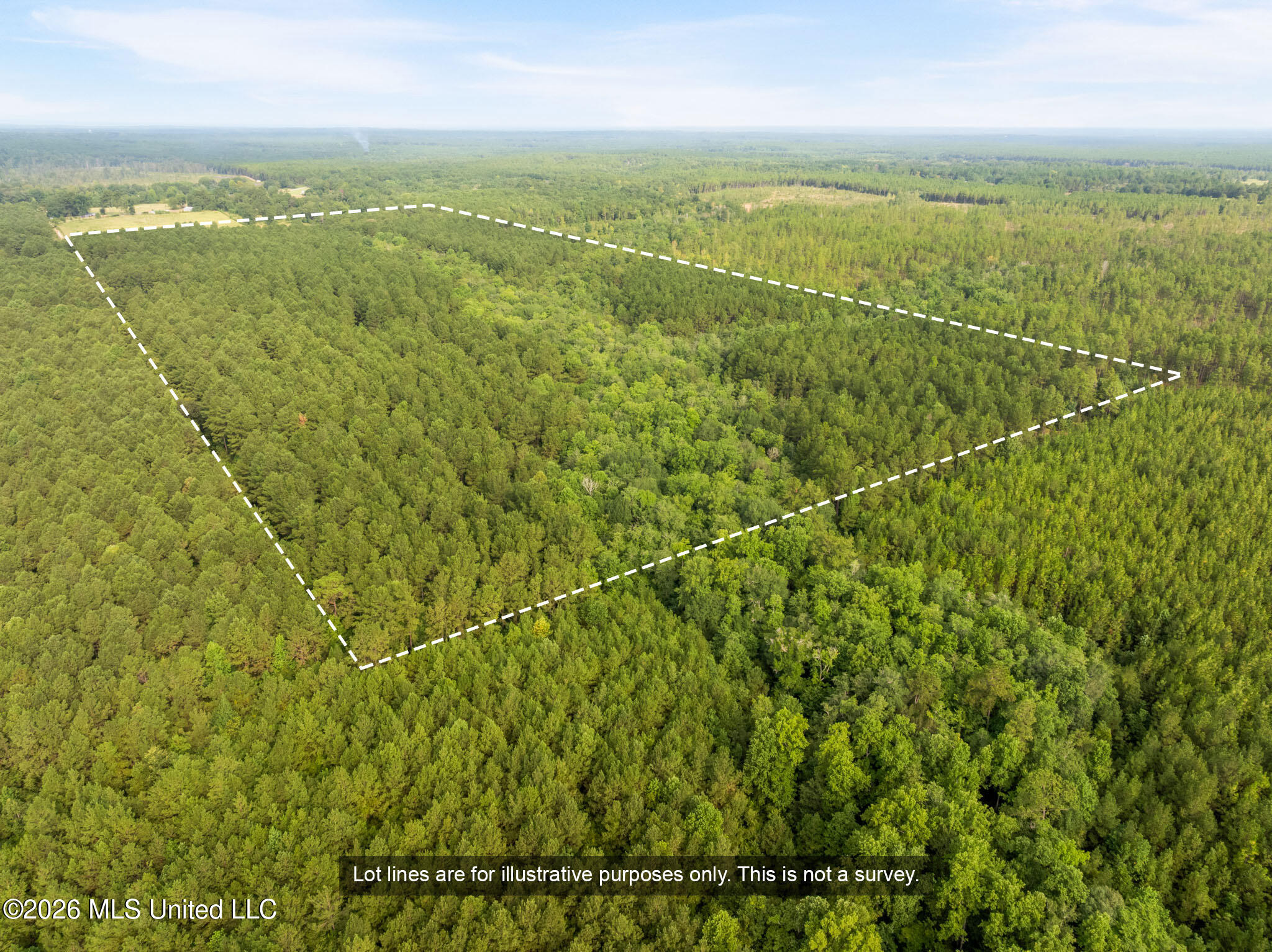 Lowe Road Lumberton, MS 39455 - Photo 2 of 18 80-Lamar-Arthur-Lowe-Rd-101
