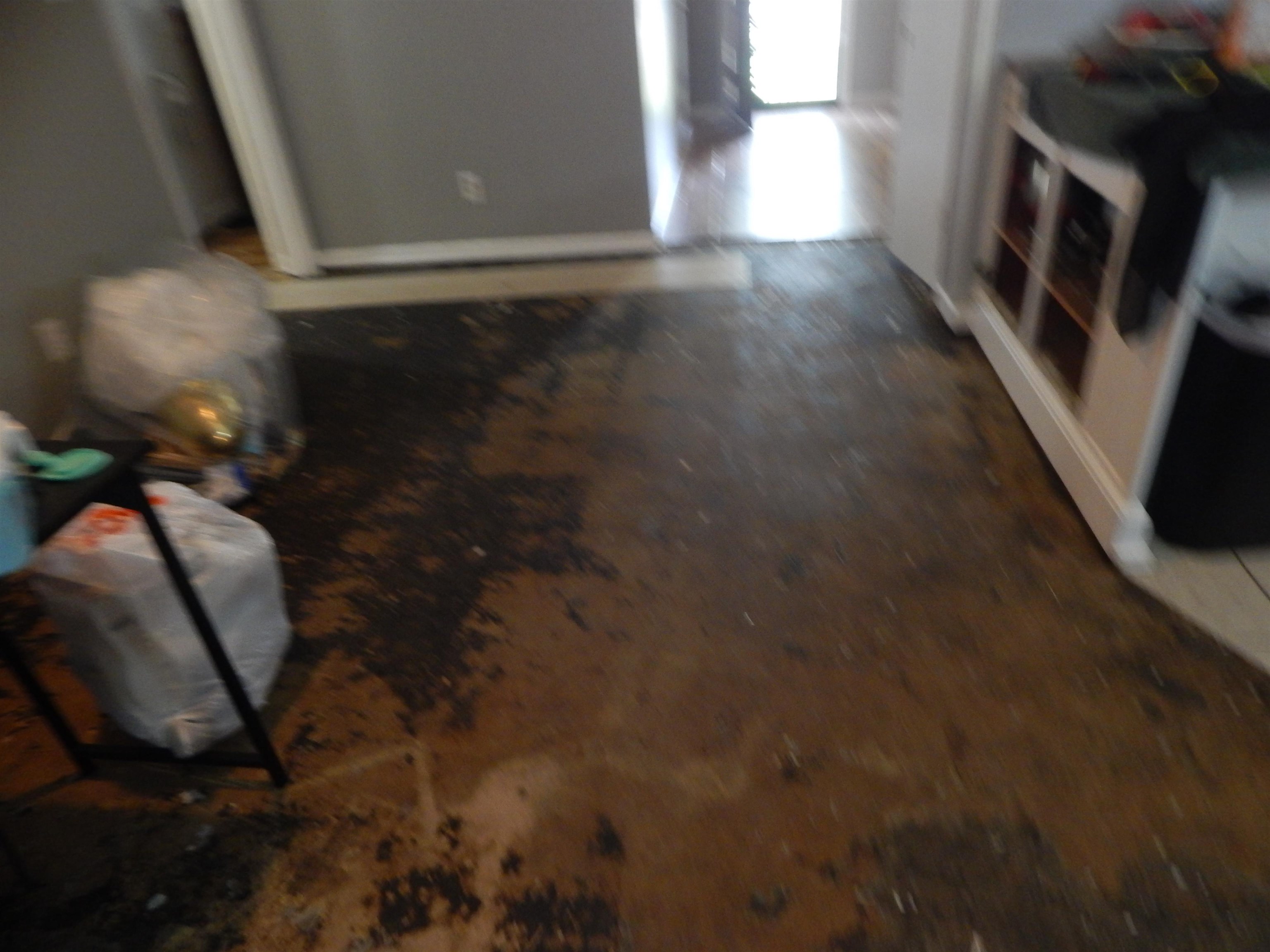 4956 Cottonwood Road Memphis, TN 38118 - Photo 7 of 13 Image quality insufficient for description