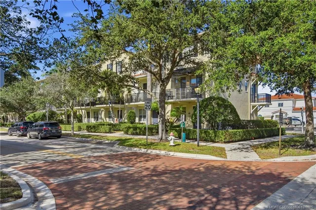 a view of a park with large trees