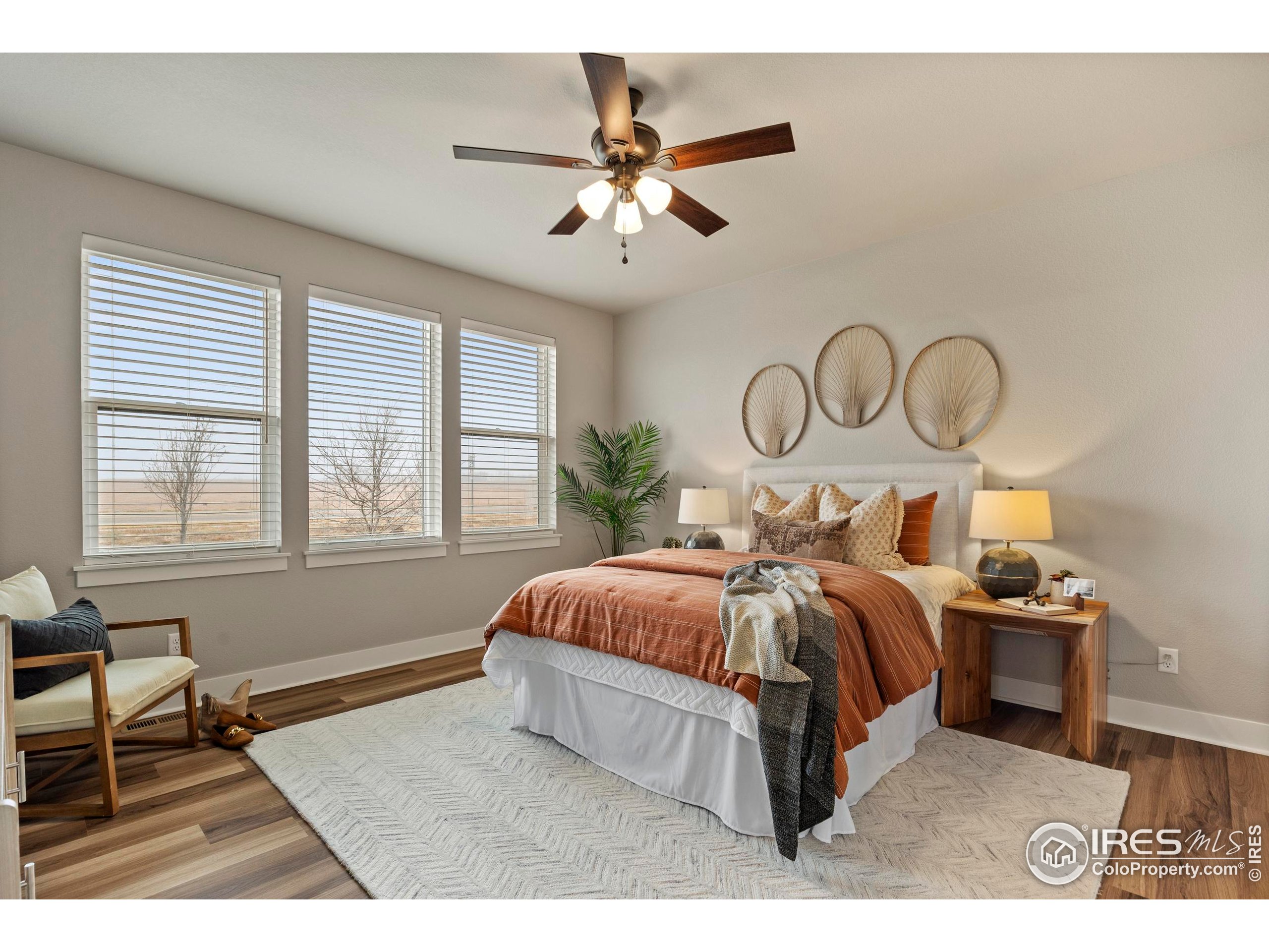 6752 Castello Street Timnath, CO 80547 - Photo 20 of 44