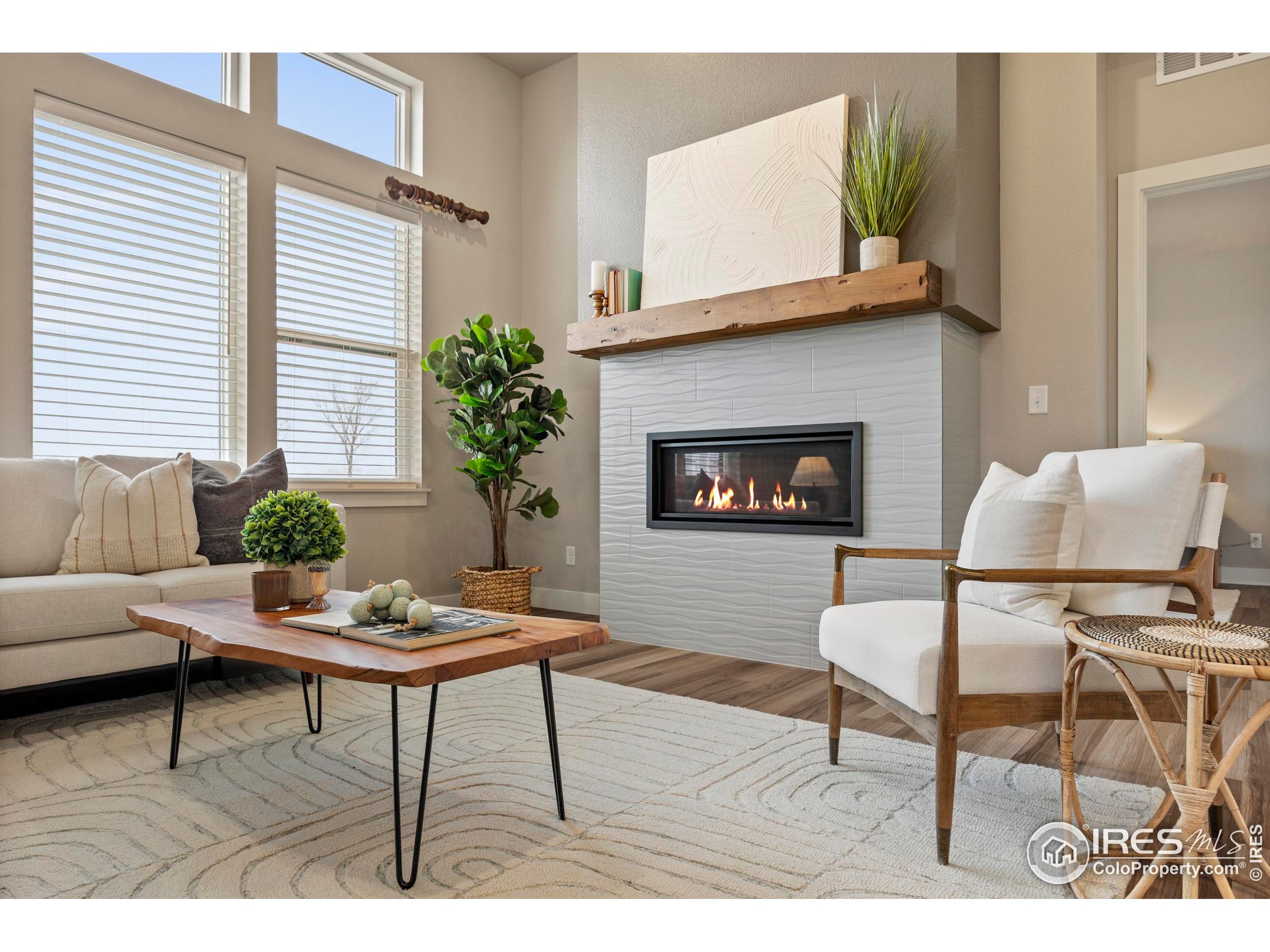 6752 Castello Street Timnath, CO 80547 - Photo 2 of 44