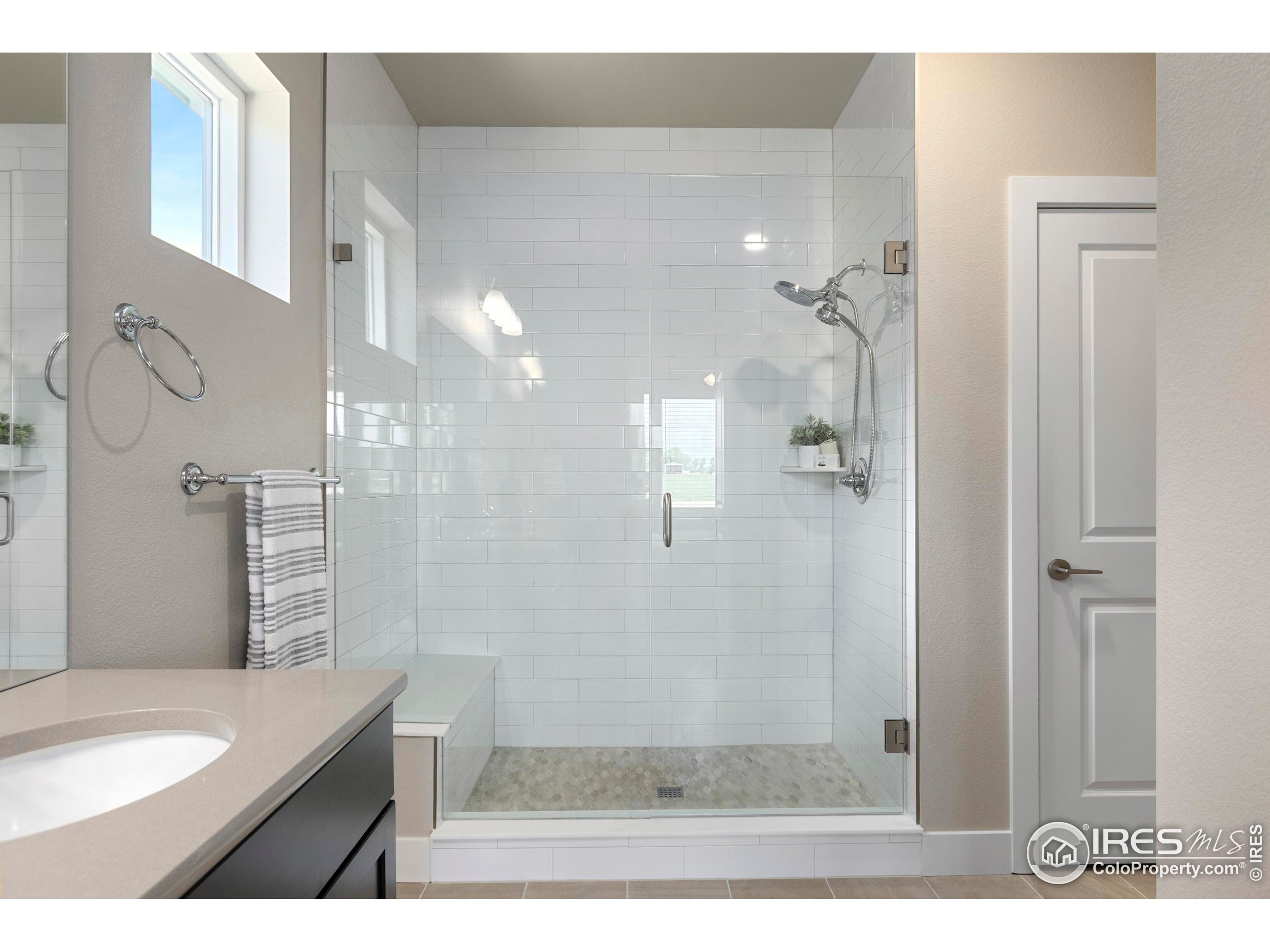 6752 Castello Street Timnath, CO 80547 - Photo 23 of 44