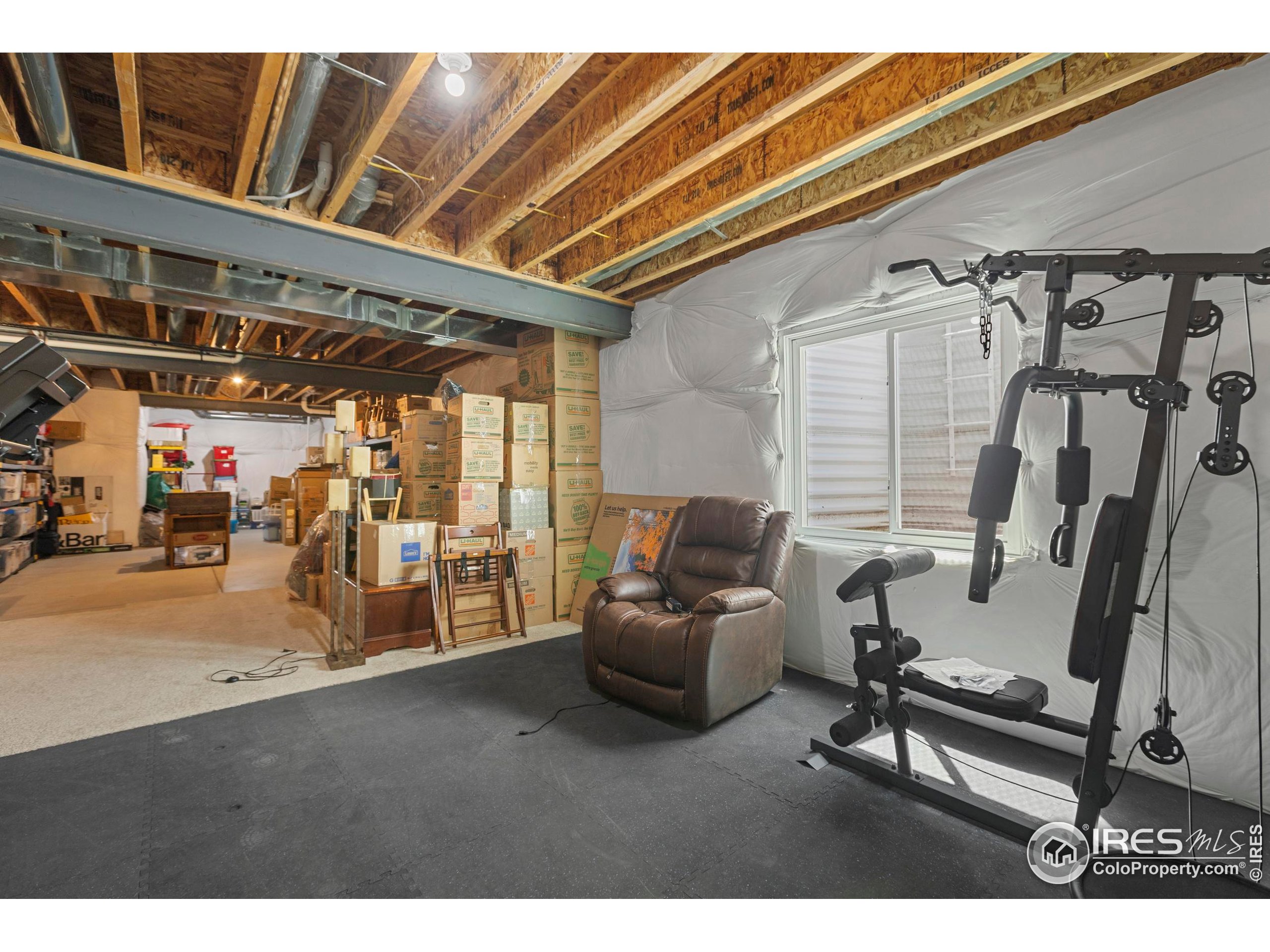 6752 Castello Street Timnath, CO 80547 - Photo 32 of 44