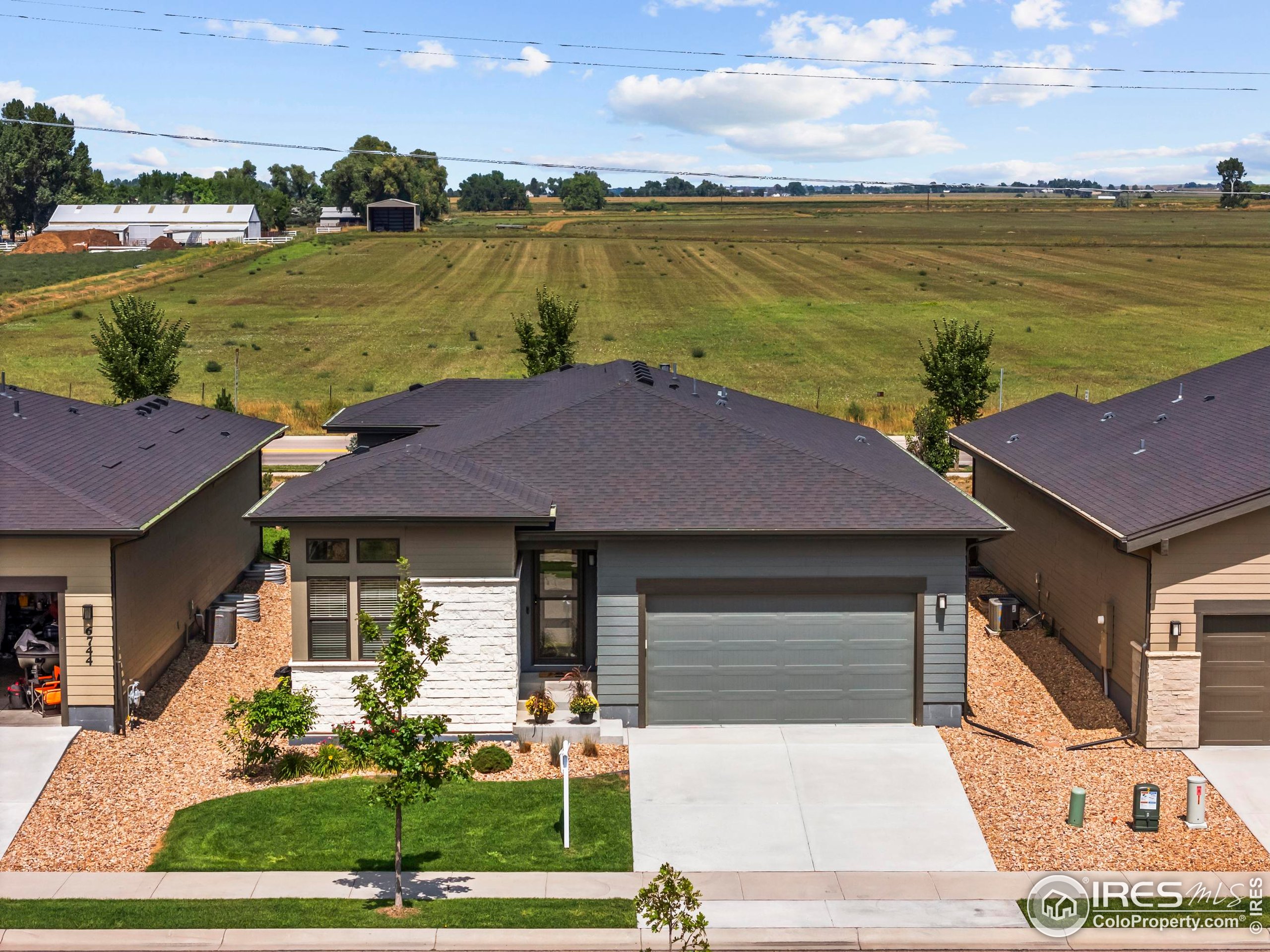 6752 Castello Street Timnath, CO 80547 - Photo 4 of 44