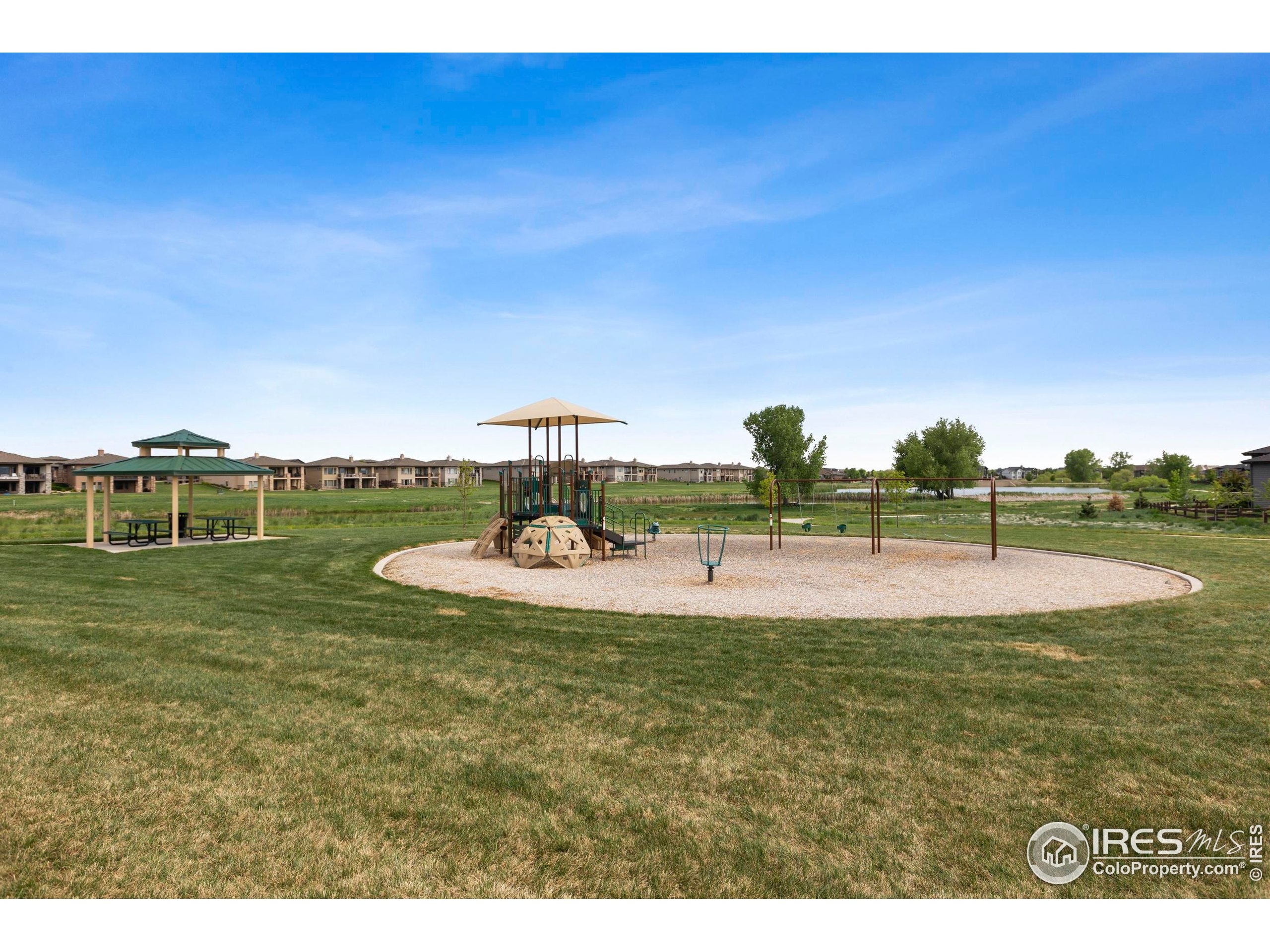 6752 Castello Street Timnath, CO 80547 - Photo 41 of 44