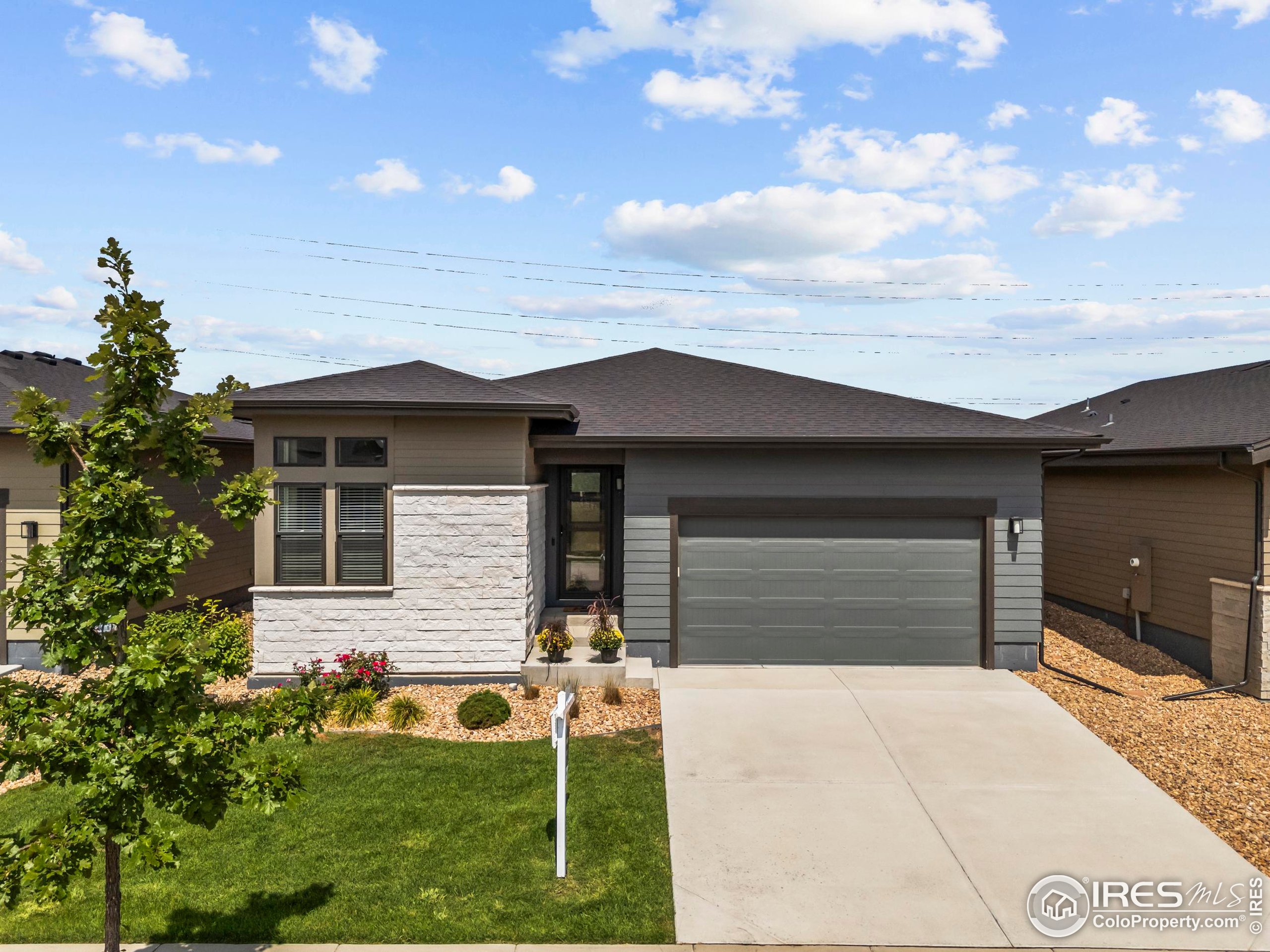 6752 Castello Street Timnath, CO 80547 - Photo 44 of 44