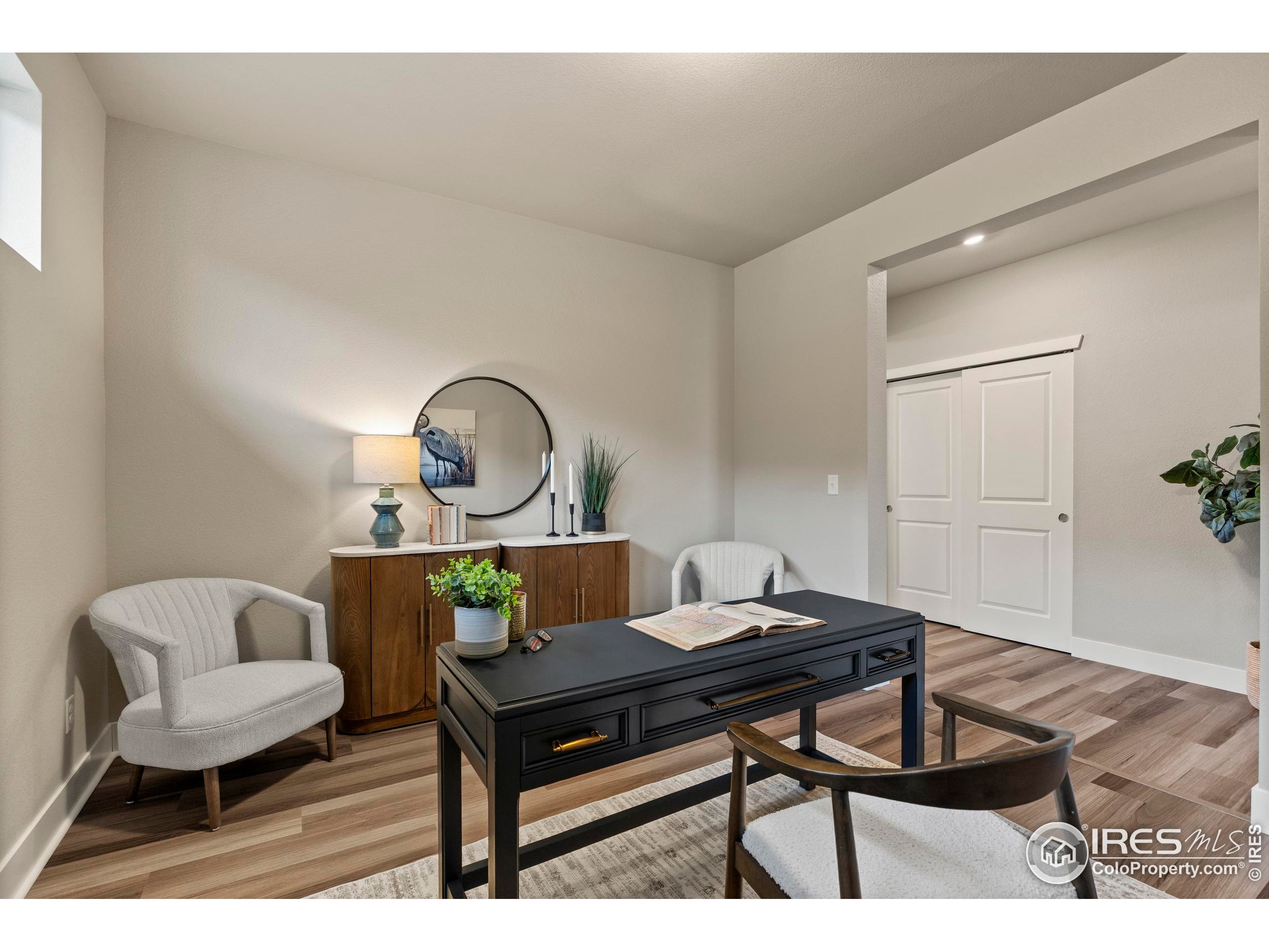 6752 Castello Street Timnath, CO 80547 - Photo 6 of 44