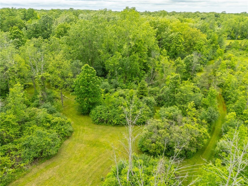 894 Ladue Road Sweden, NY 14420 - Photo 5 of 15