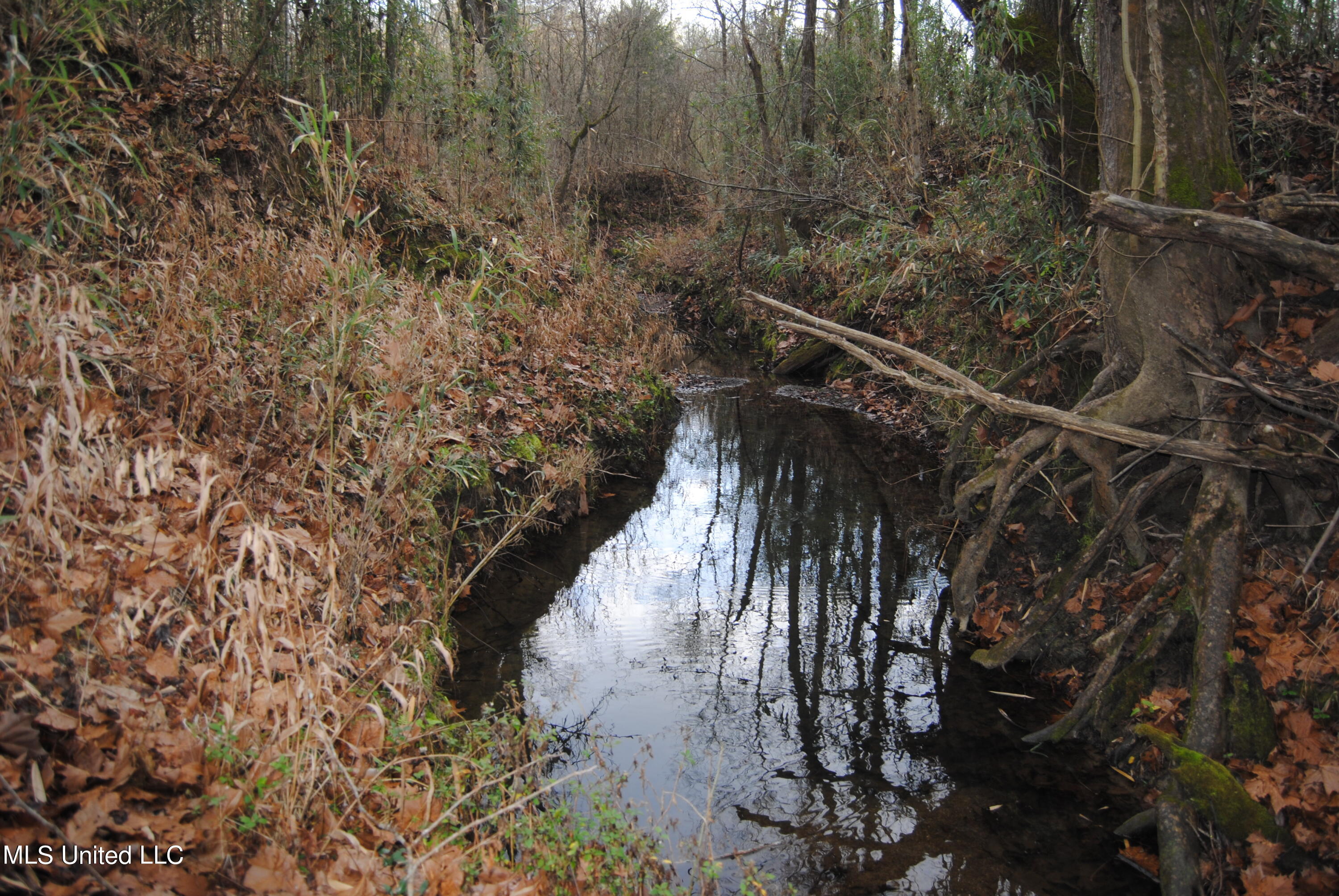 Waller Road Yazoo City, MS 39194 - Photo 1 of 7 Harrison 1