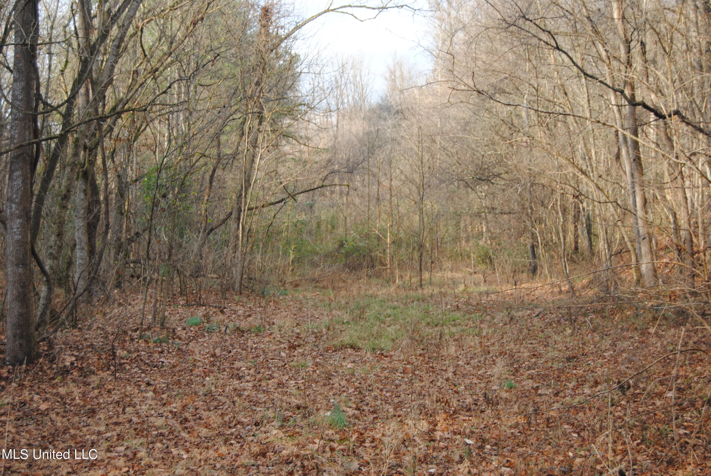 Waller Road Yazoo City, MS 39194 - Photo 5 of 7 Harrison 5