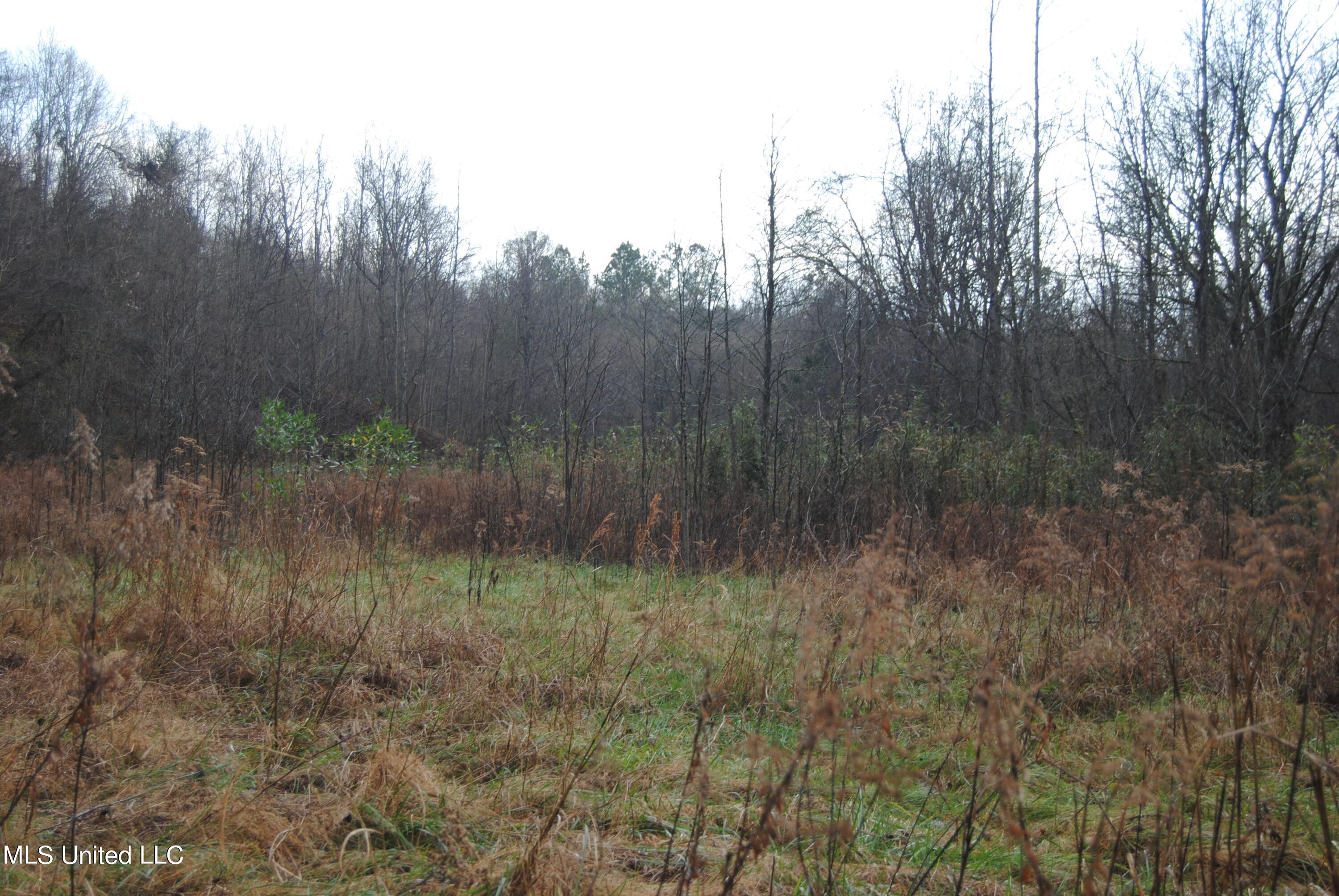 Waller Road Yazoo City, MS 39194 - Photo 6 of 7 Harrison 6