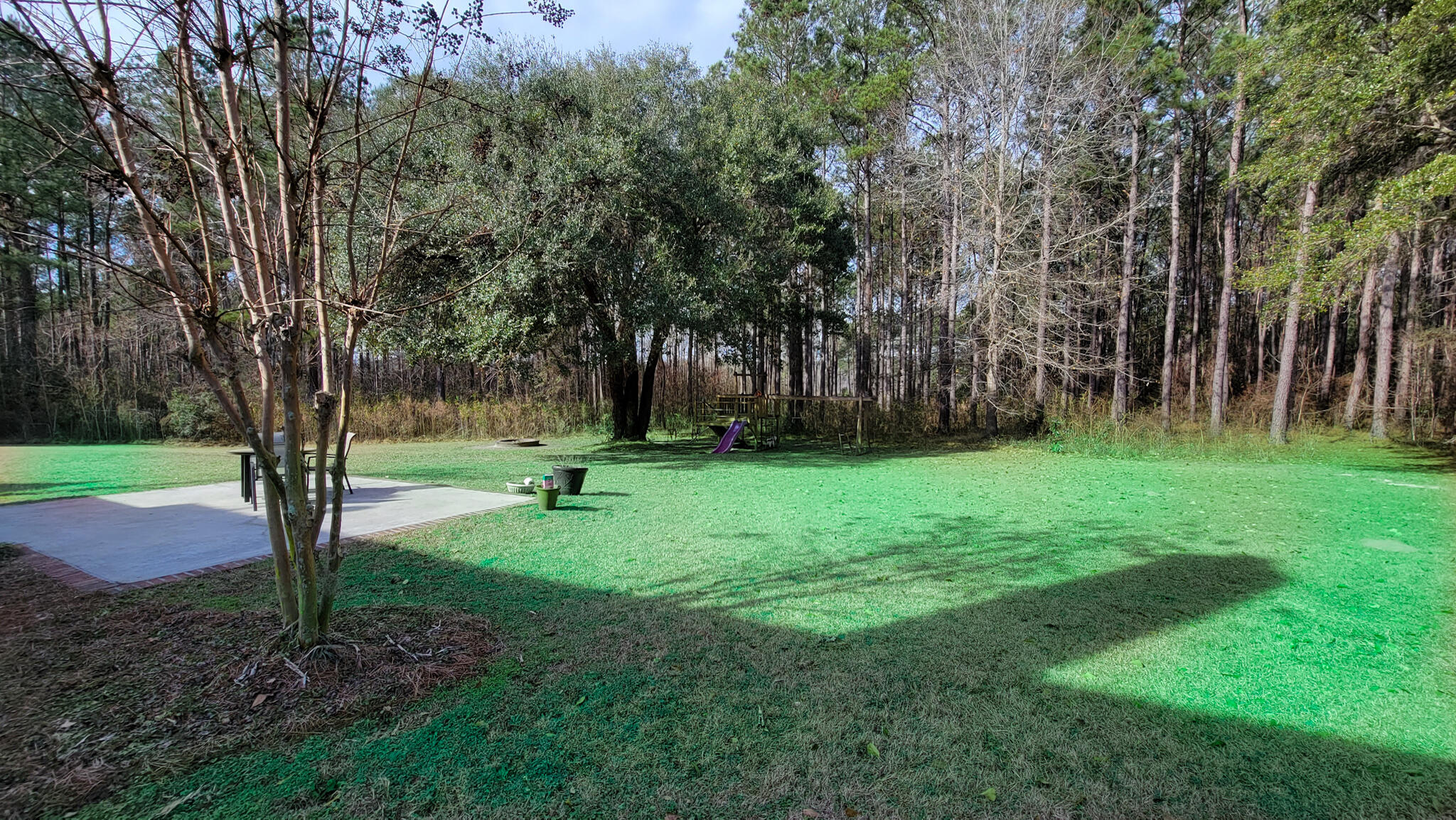 3582 Cane Branch Road Walterboro, SC 29488 - Photo 15 of 72 20230119_112419