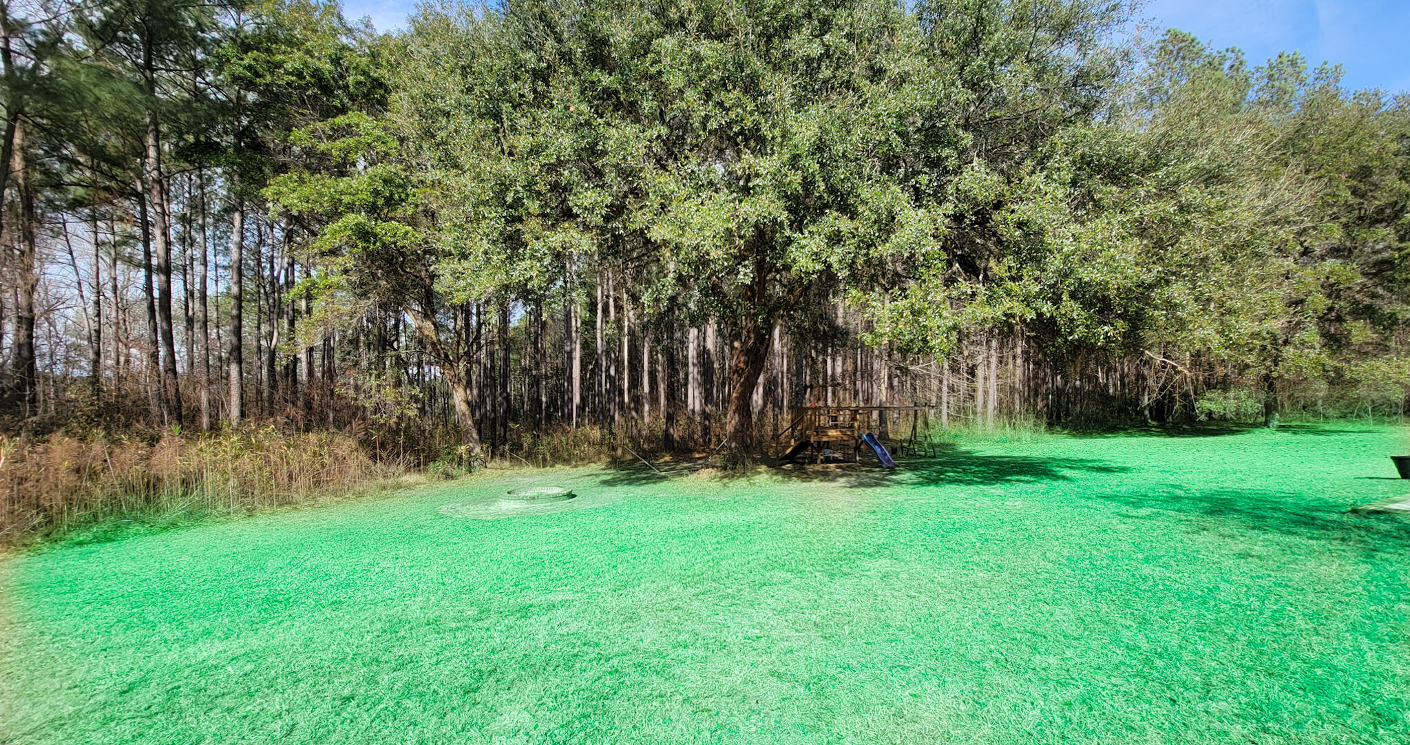 3582 Cane Branch Road Walterboro, SC 29488 - Photo 10 of 72 20230119_112136