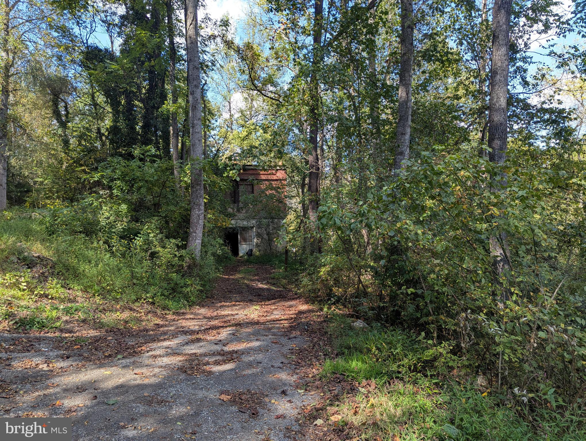 12967 Spicers Mill Road Orange, VA 22960 - Photo 16 of 21