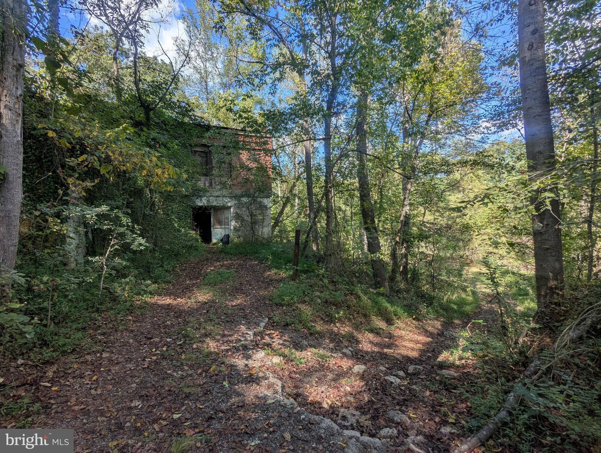 12967 Spicers Mill Road Orange, VA 22960 - Photo 17 of 21