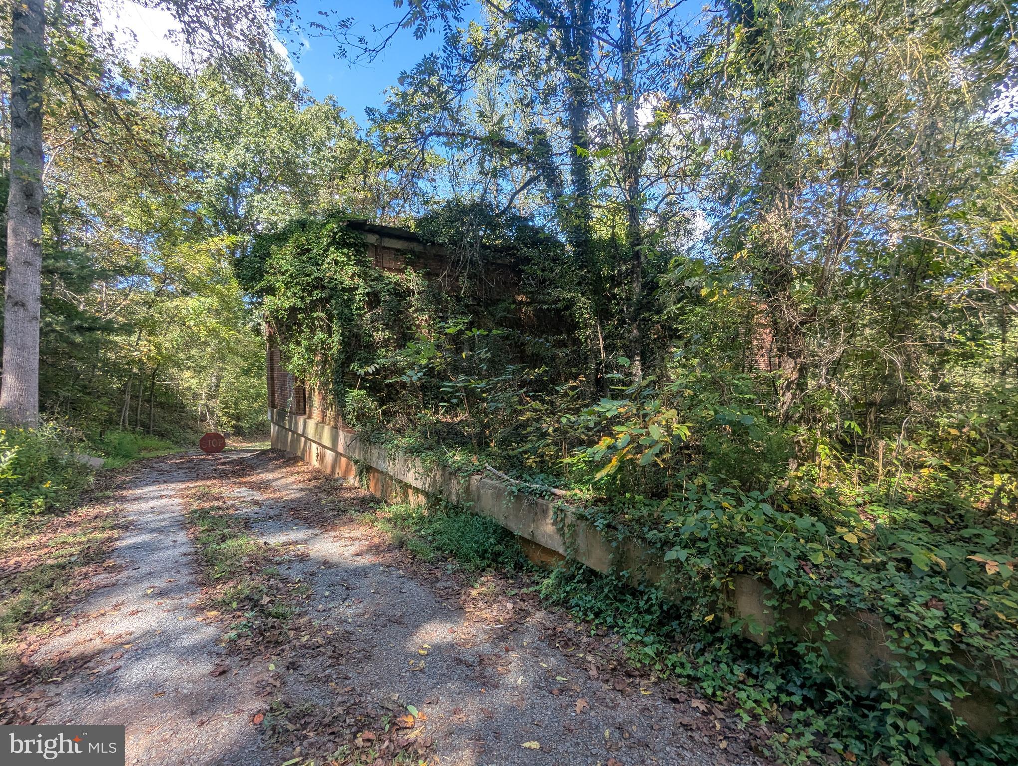 12967 Spicers Mill Road Orange, VA 22960 - Photo 21 of 21