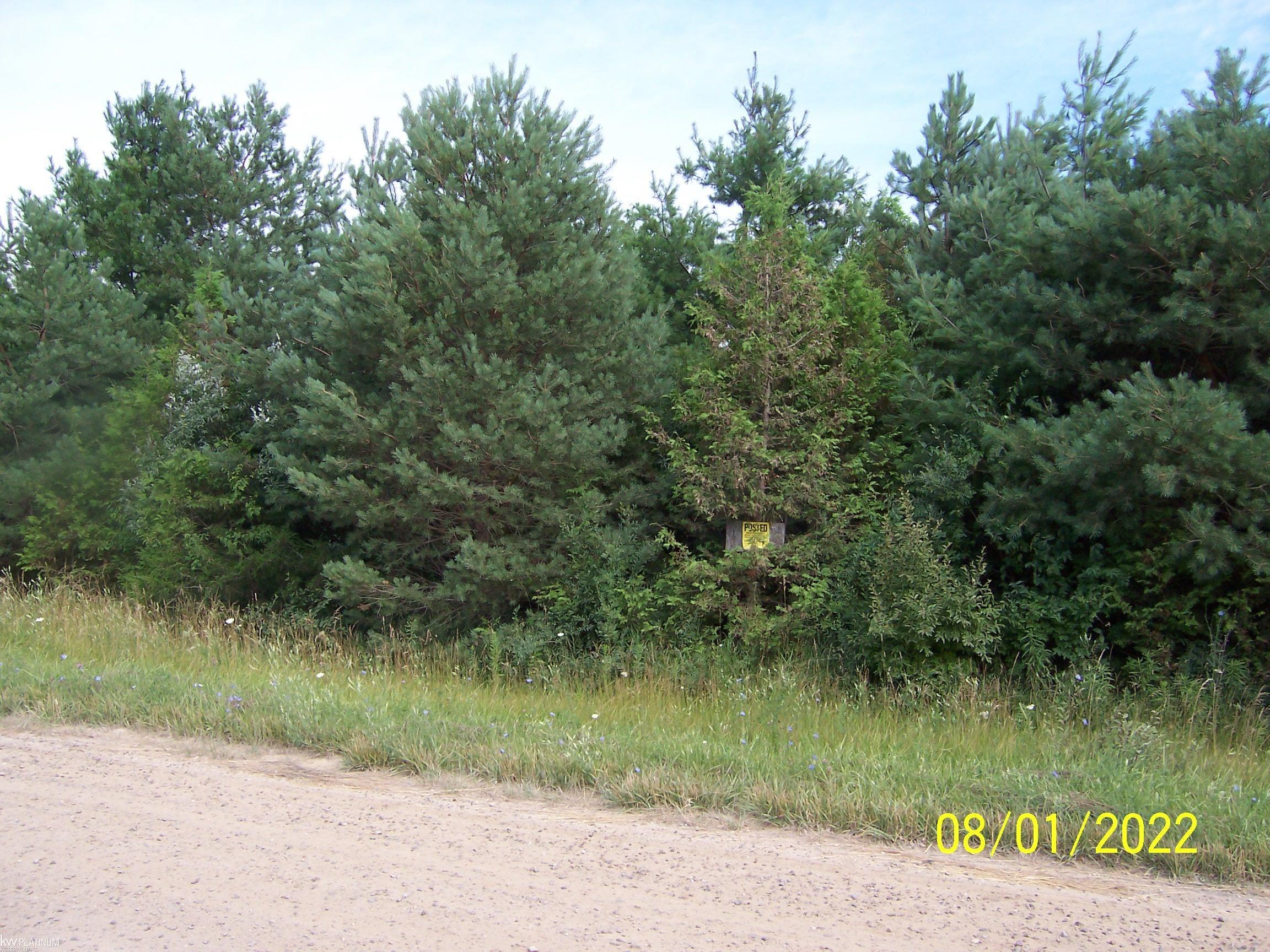 Walker Road Carsonville, MI 48419 - Photo 6 of 7
