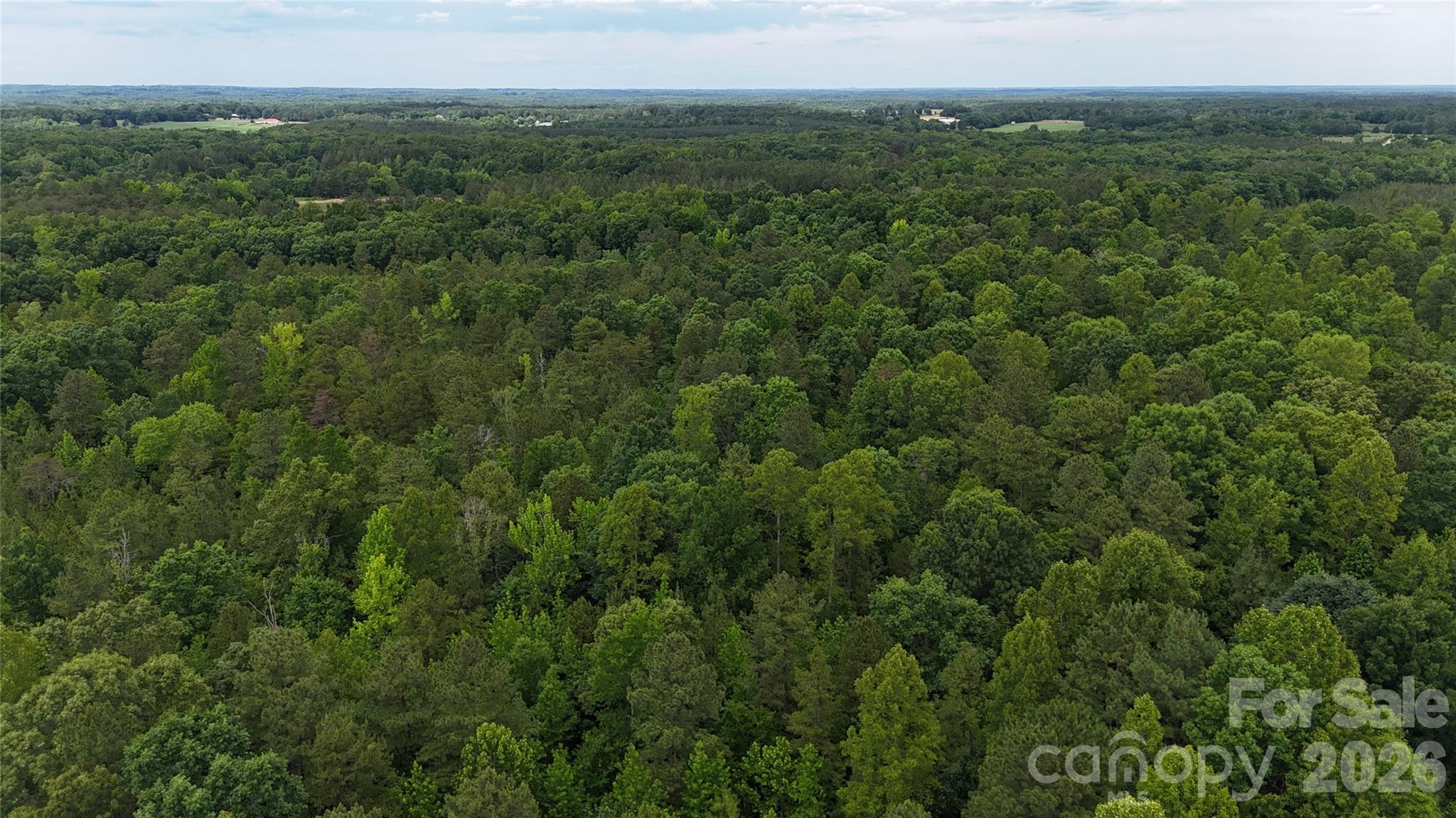 0 Herbert Faucette Road Bullock, NC 27507 - Photo 33 of 40