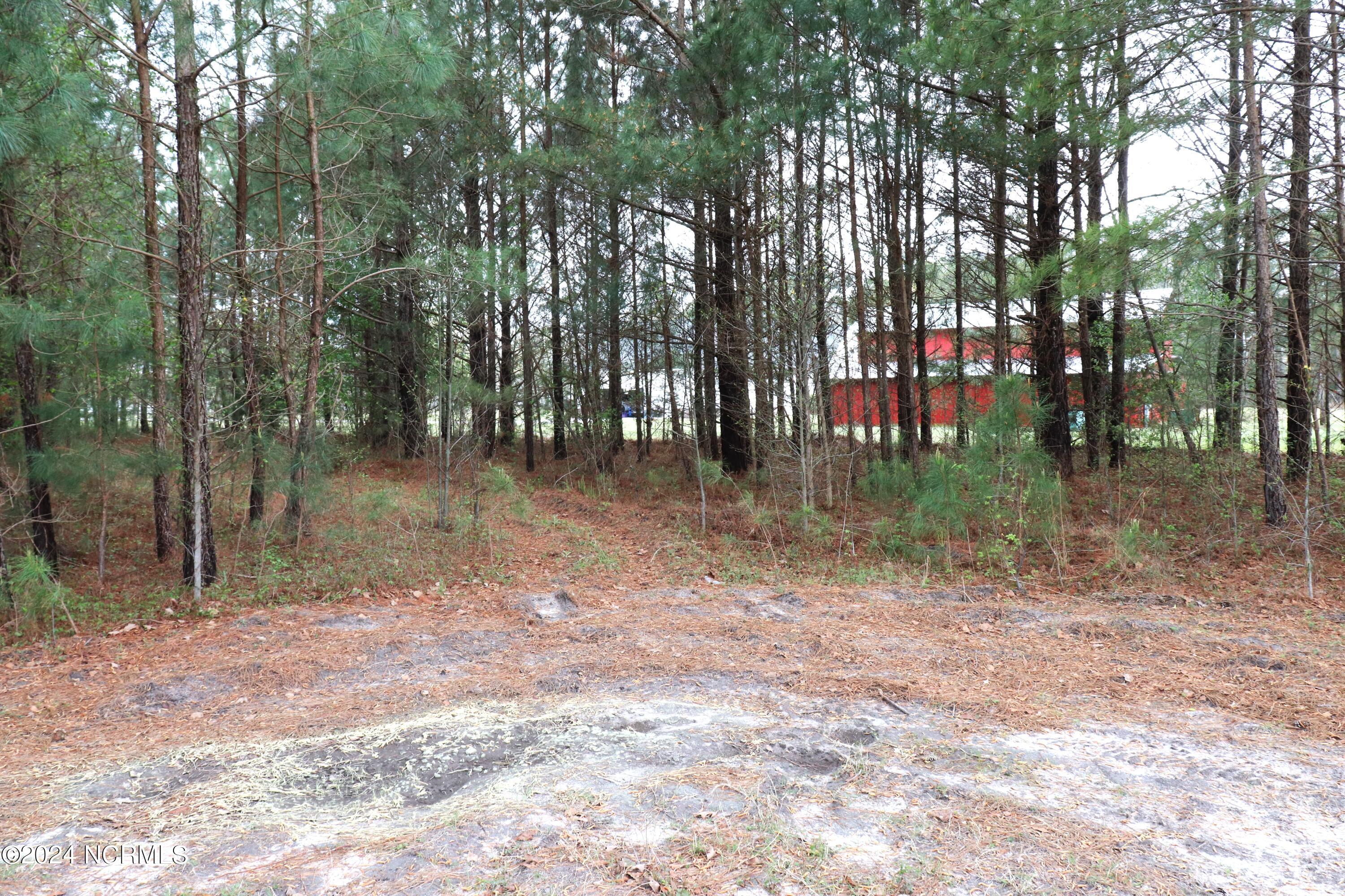 Tbd Cromartie Road Elizabethtown, NC 28337 - Photo 11 of 20 13