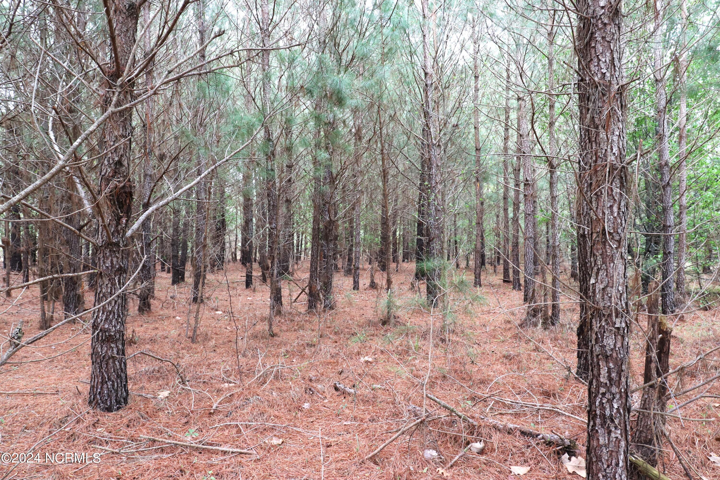 Tbd Cromartie Road Elizabethtown, NC 28337 - Photo 12 of 20 14