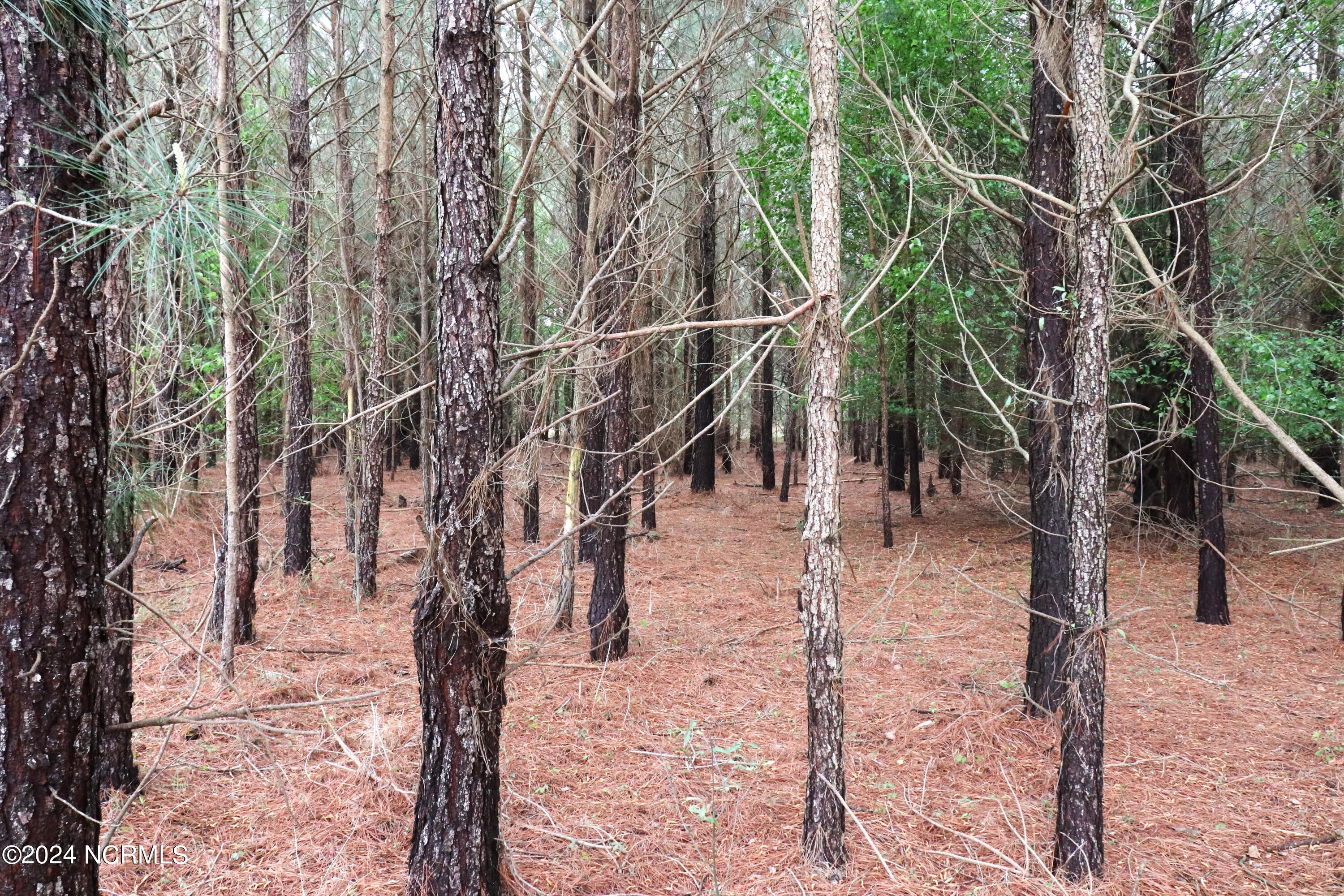 Tbd Cromartie Road Elizabethtown, NC 28337 - Photo 16 of 20 21