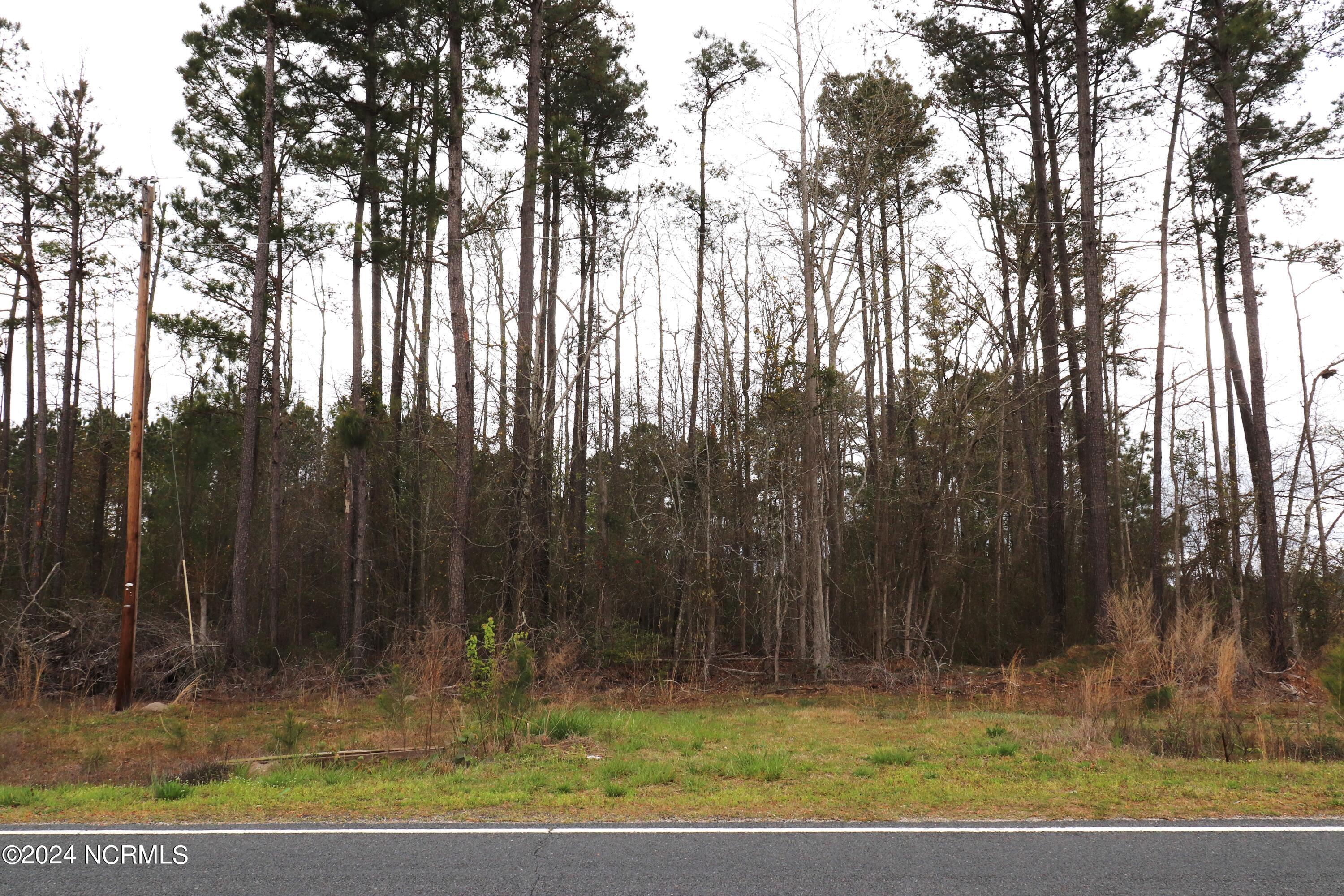 Tbd Cromartie Road Elizabethtown, NC 28337 - Photo 4 of 20 5