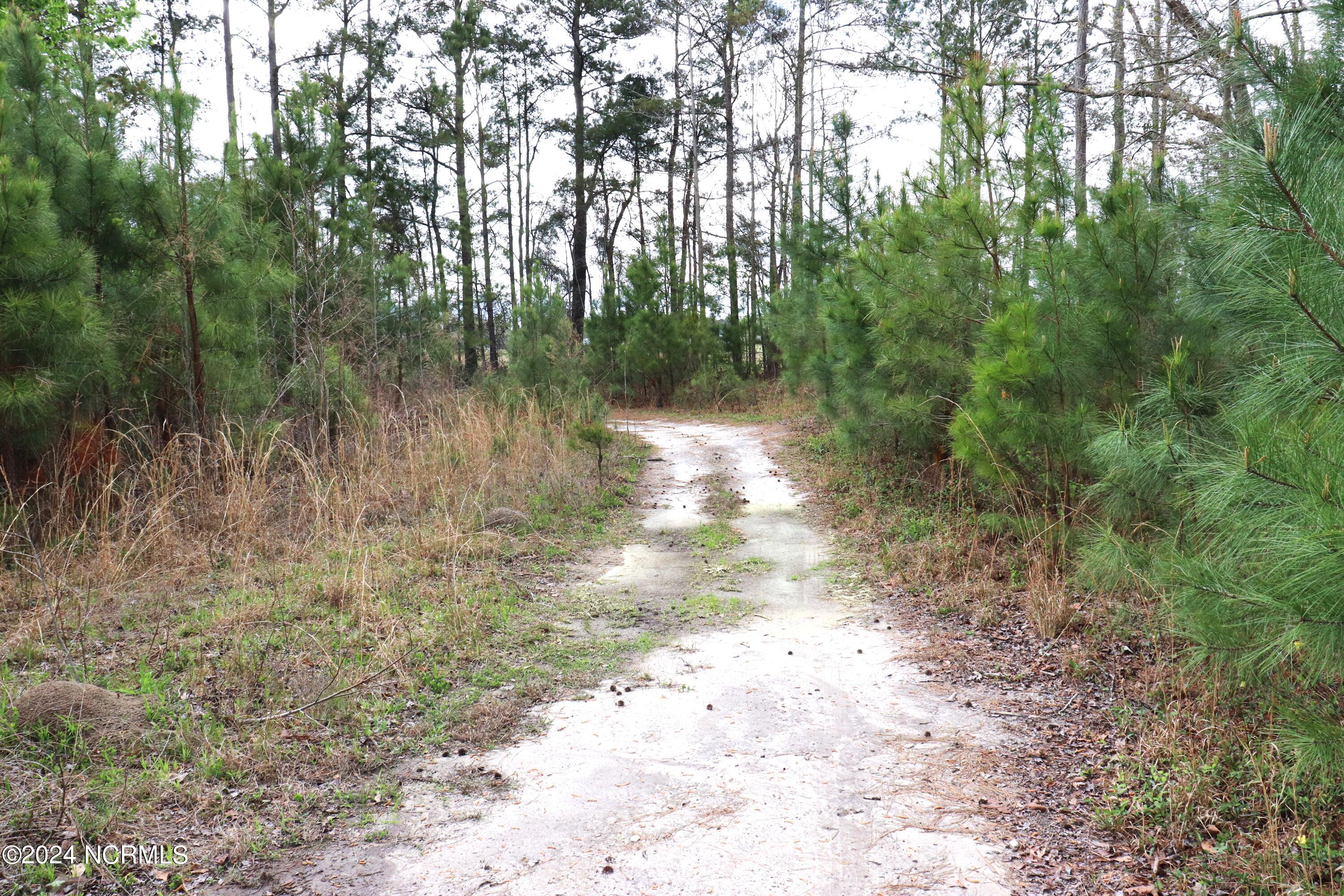 Tbd Cromartie Road Elizabethtown, NC 28337 - Photo 7 of 20 9