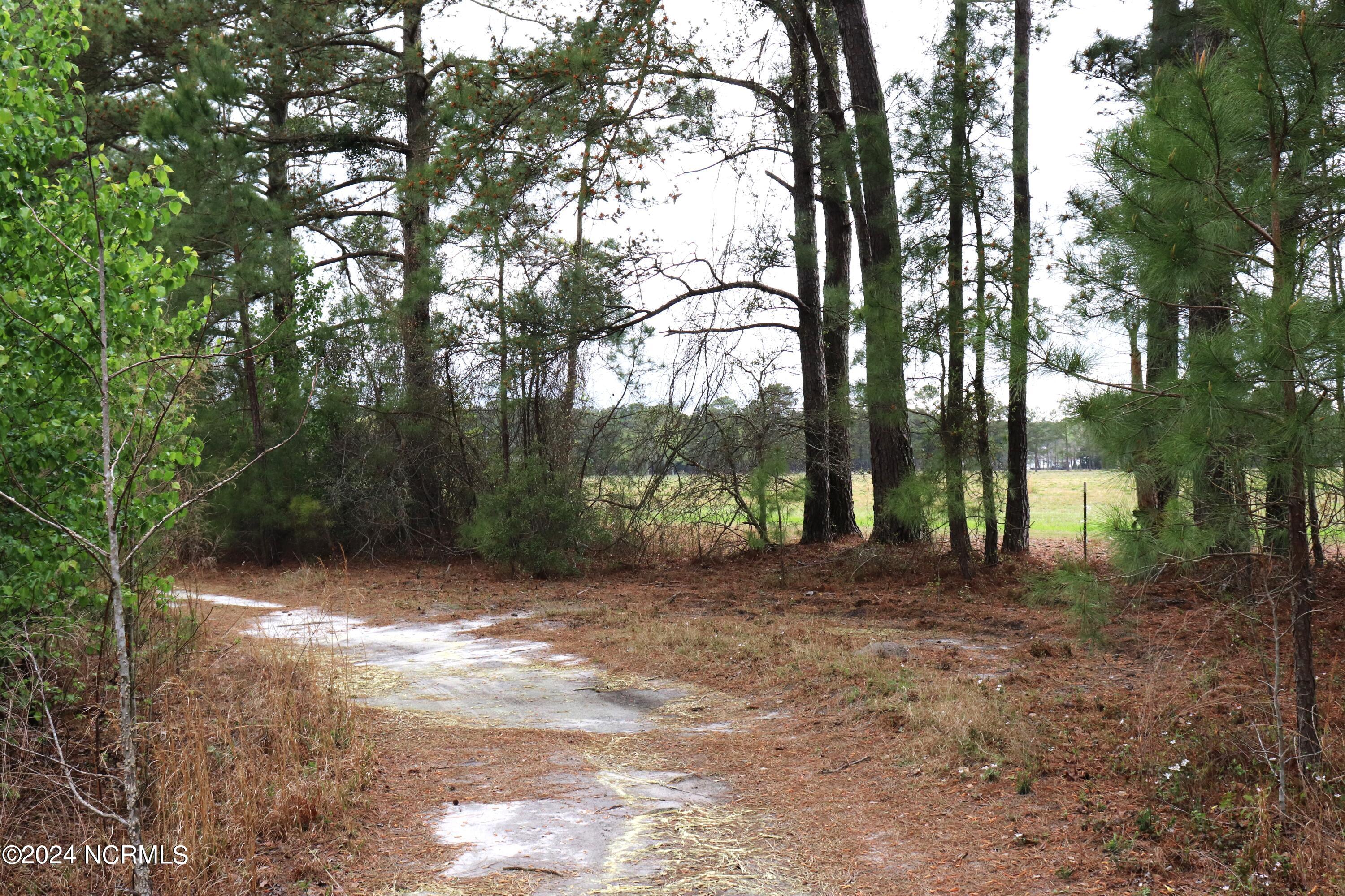 Tbd Cromartie Road Elizabethtown, NC 28337 - Photo 8 of 20 10