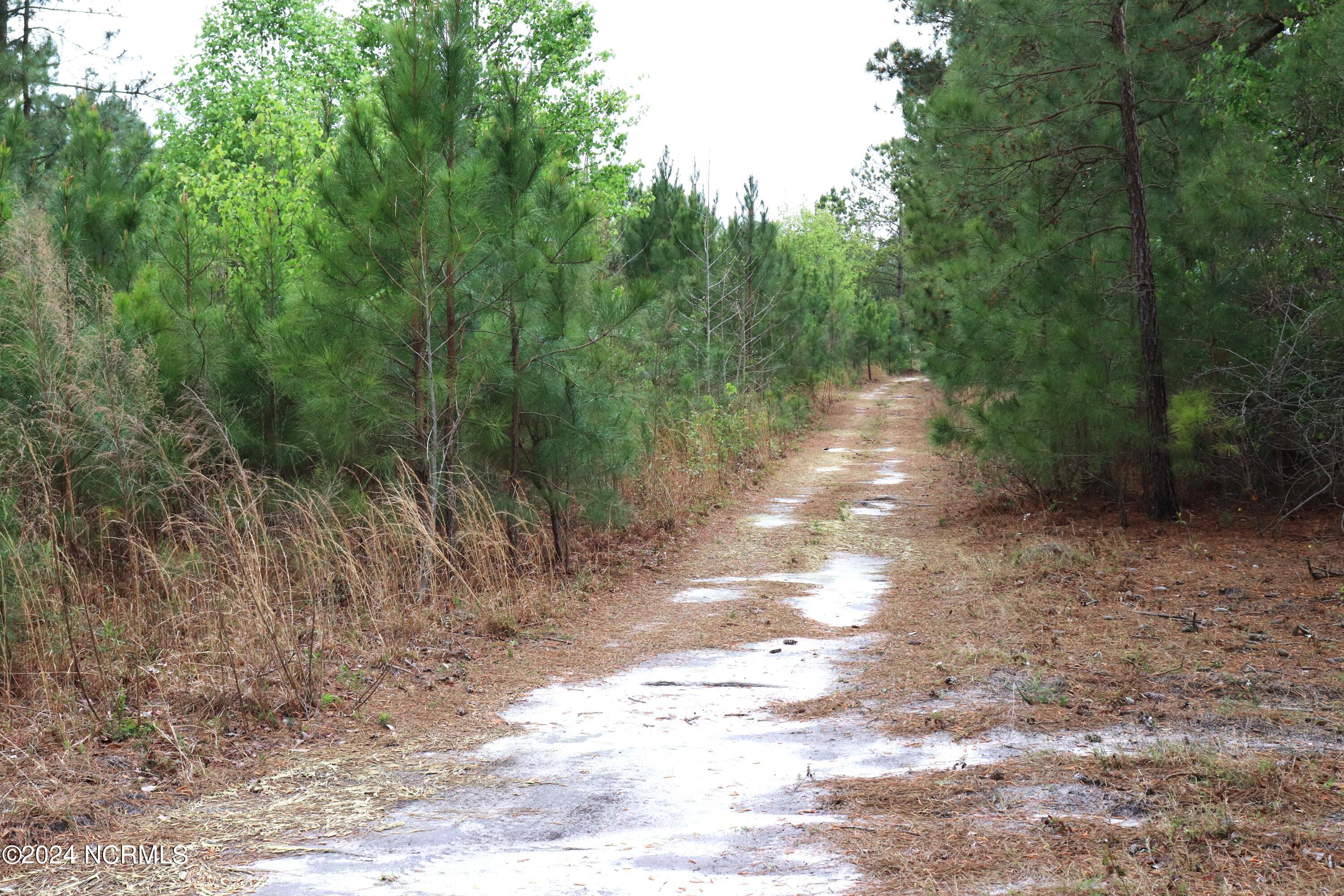 Tbd Cromartie Road Elizabethtown, NC 28337 - Photo 9 of 20 11