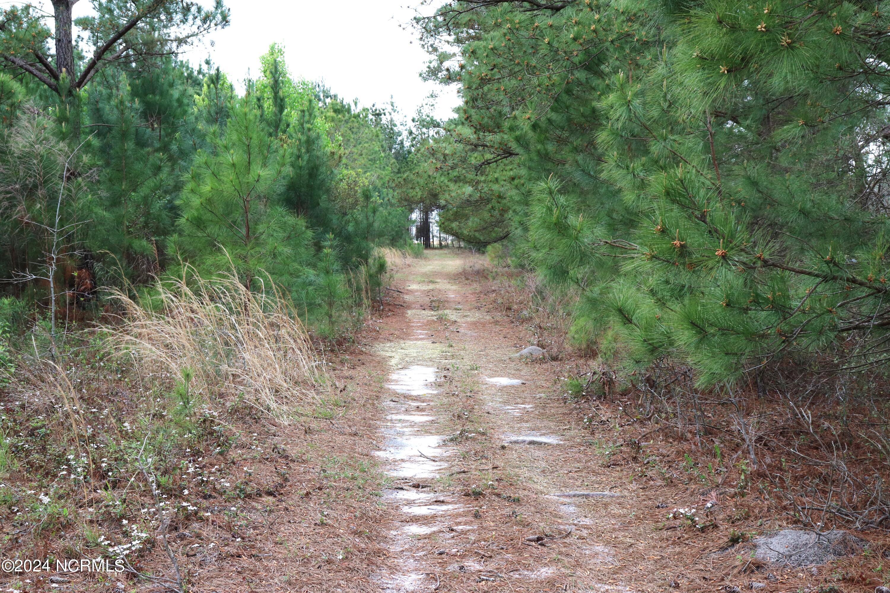 Tbd Cromartie Road Elizabethtown, NC 28337 - Photo 10 of 20 12