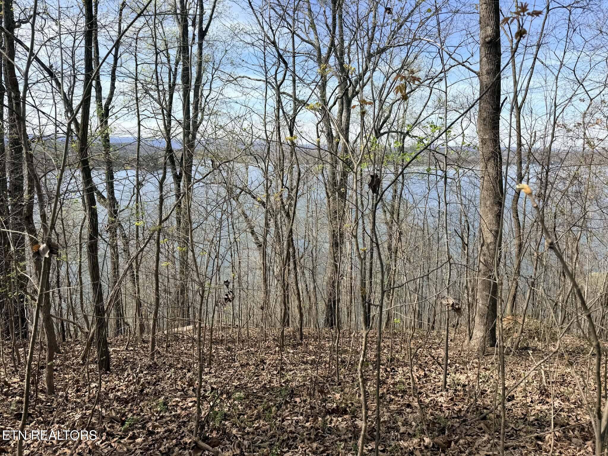 82cca176-40b9-48e2-87b2-ee04e002897b