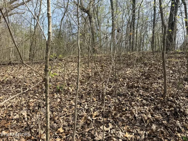 $180,000 | 7 Johnson Lane, Ten Mile, TN 37880