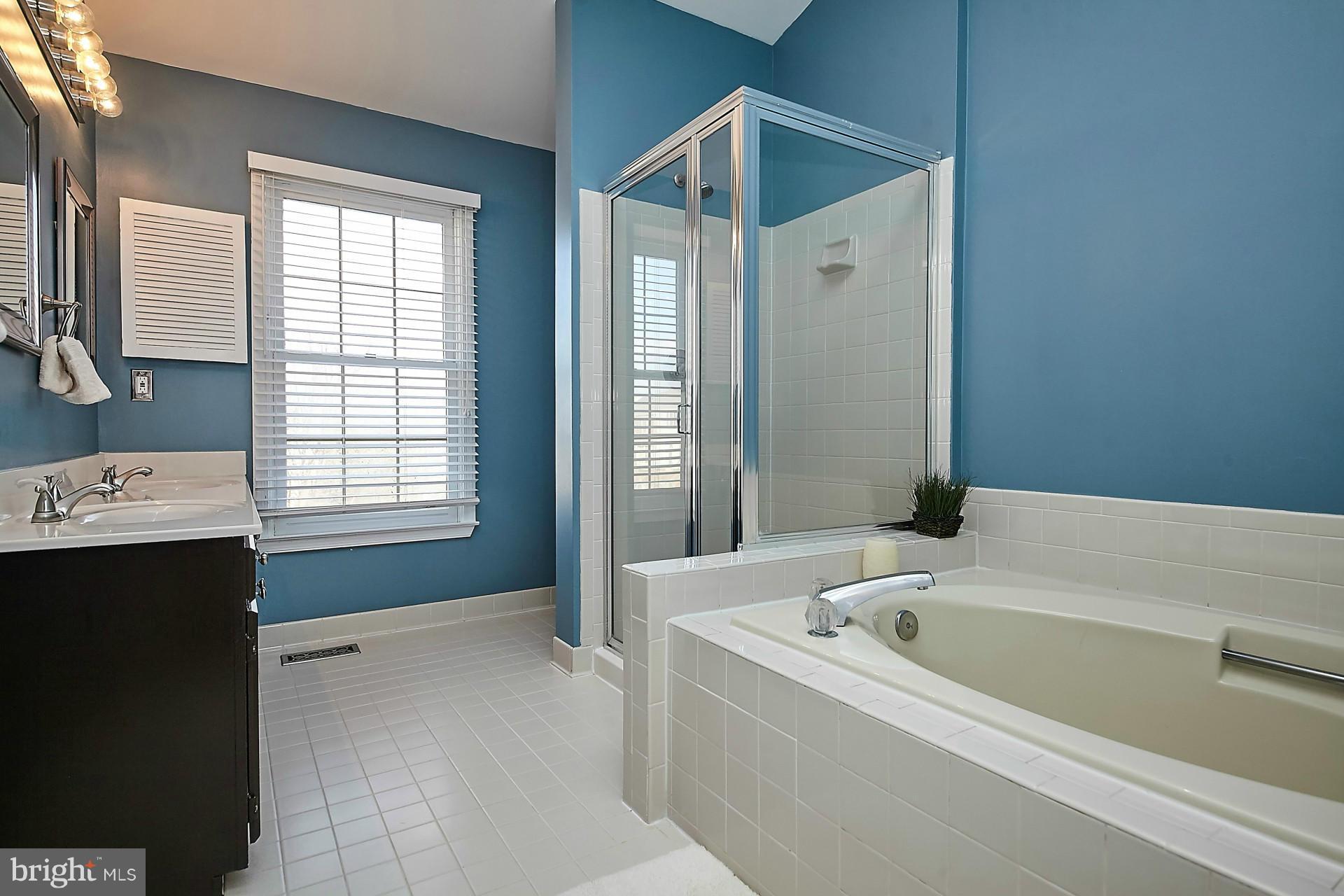 46814 Rabbitrun Terrace Sterling, VA 20164 - Photo 14 of 22 Bath (Master)