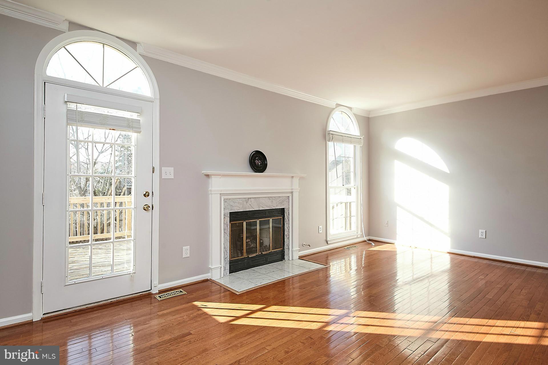 46814 Rabbitrun Terrace Sterling, VA 20164 - Photo 3 of 22 Family Room