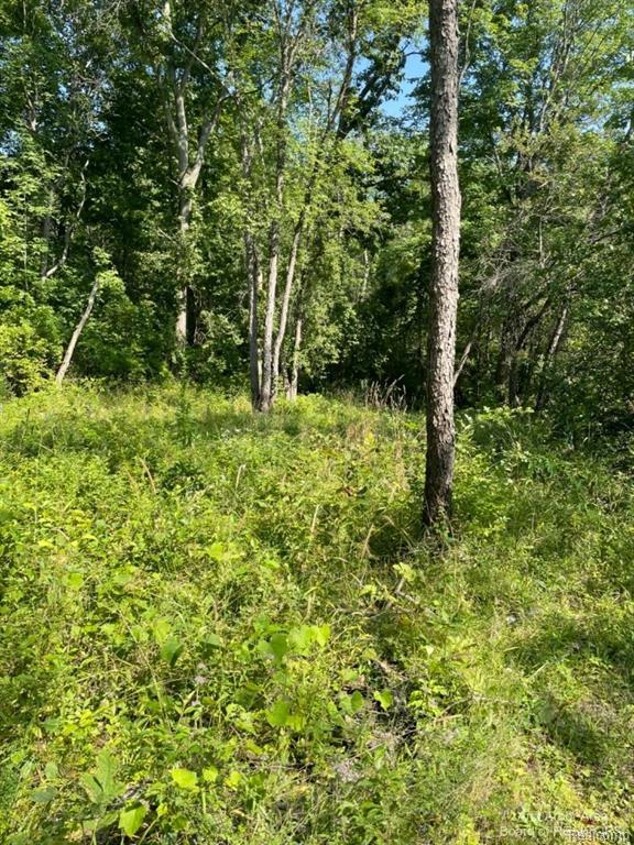 Vl Denton Hills Road Fenton, MI 48430 - Photo 15 of 21