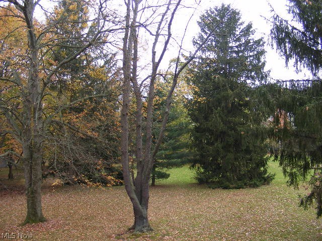 15324 State Road North Royalton, OH 44133 - Photo 12 of 12 Gallery Image 12