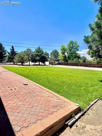 a view of a backyard and road